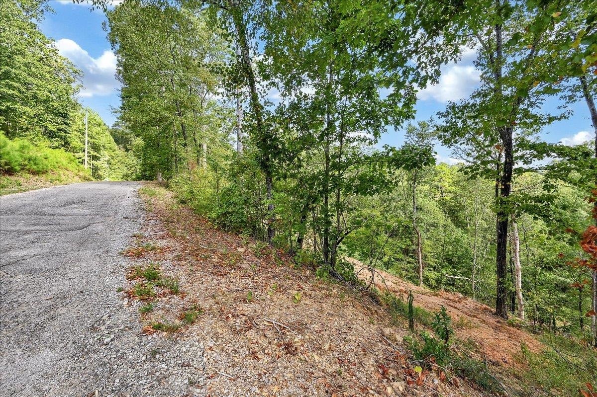 Lot 22 Co Rd 875