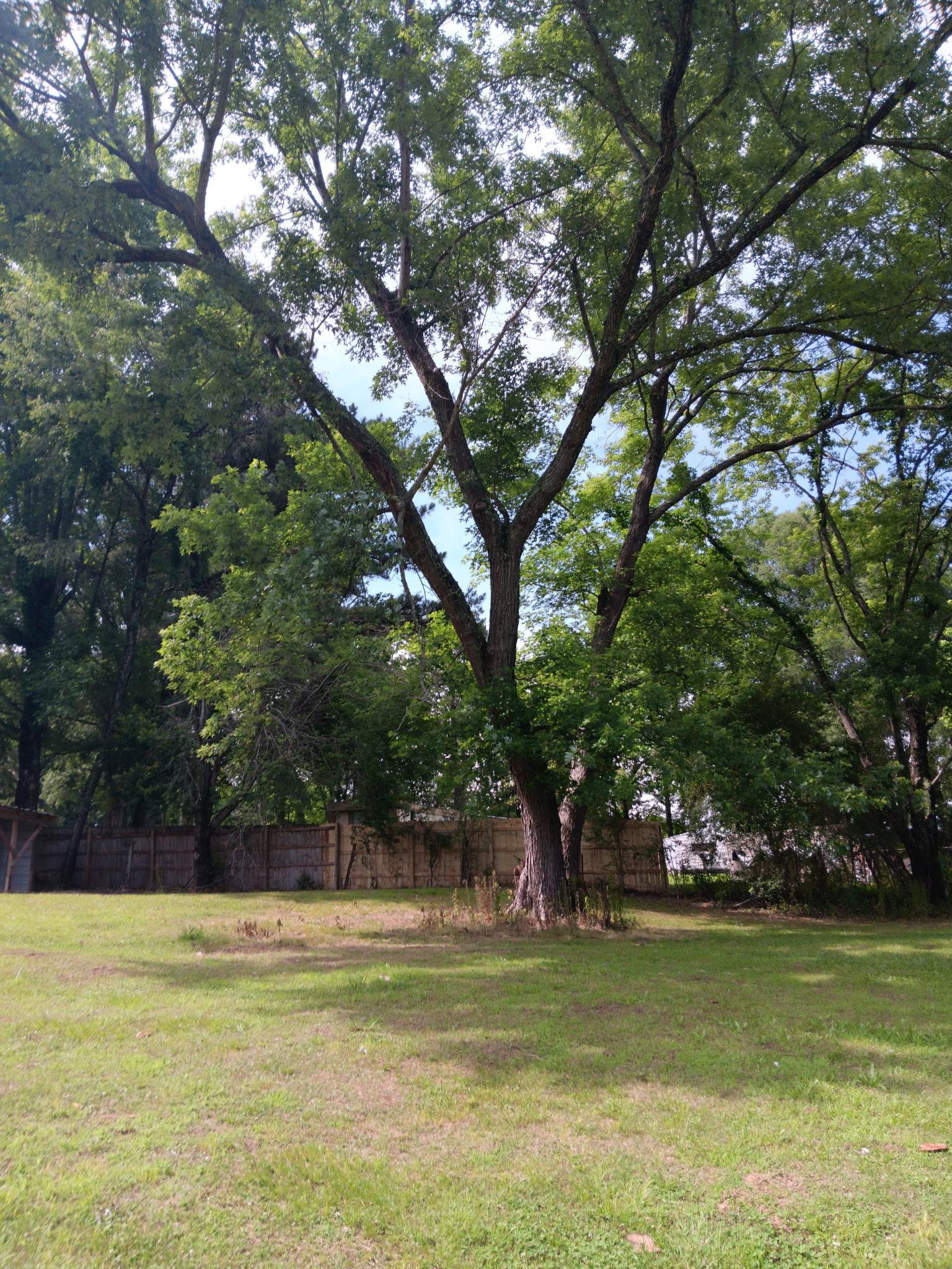 618 Co Rd 48