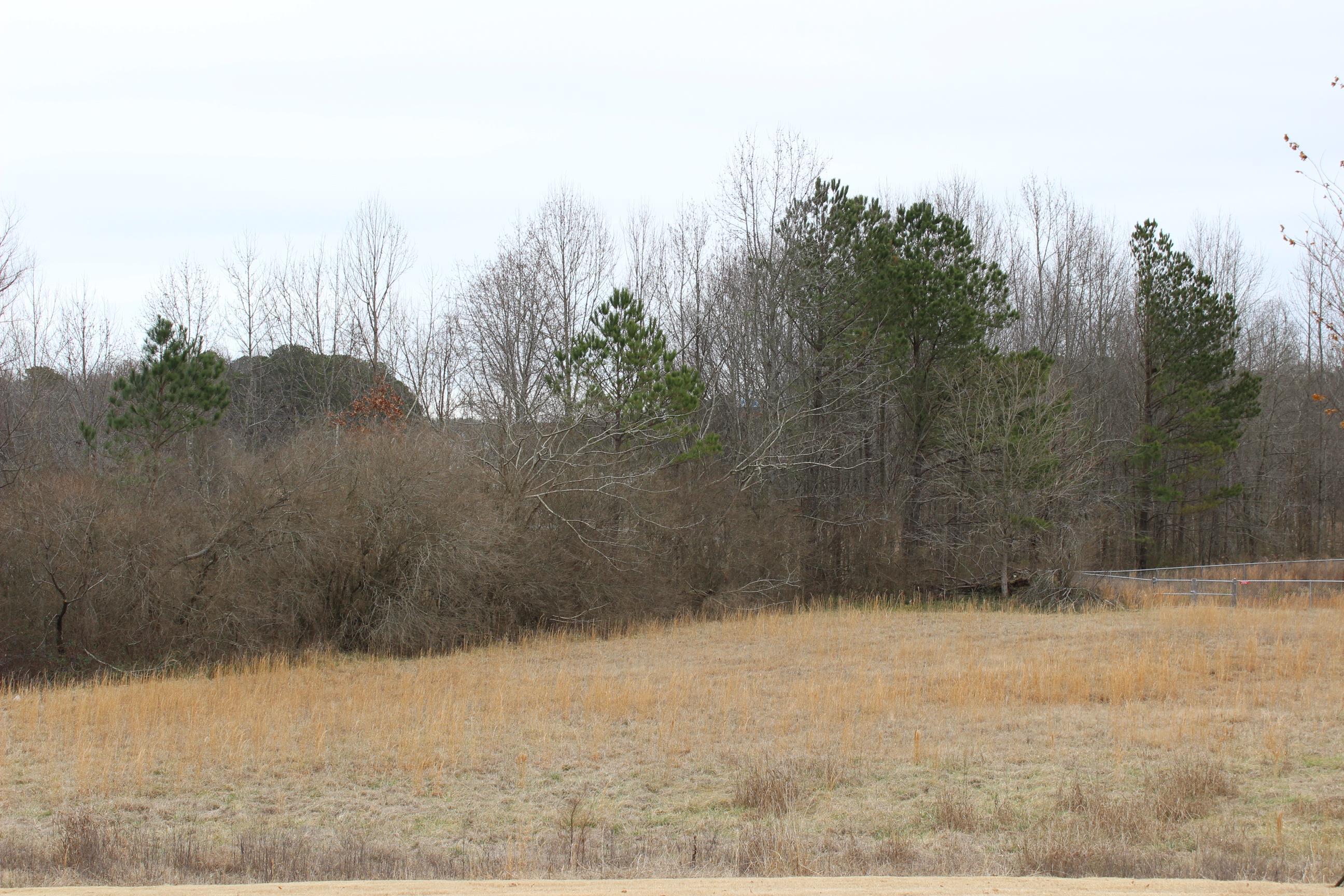 Photo 1 of 1 — 0 Alabama Hwy 157, Cullman, AL 35055