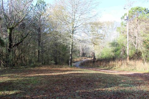 1628 Childhaven Rd Cullman AL 35055