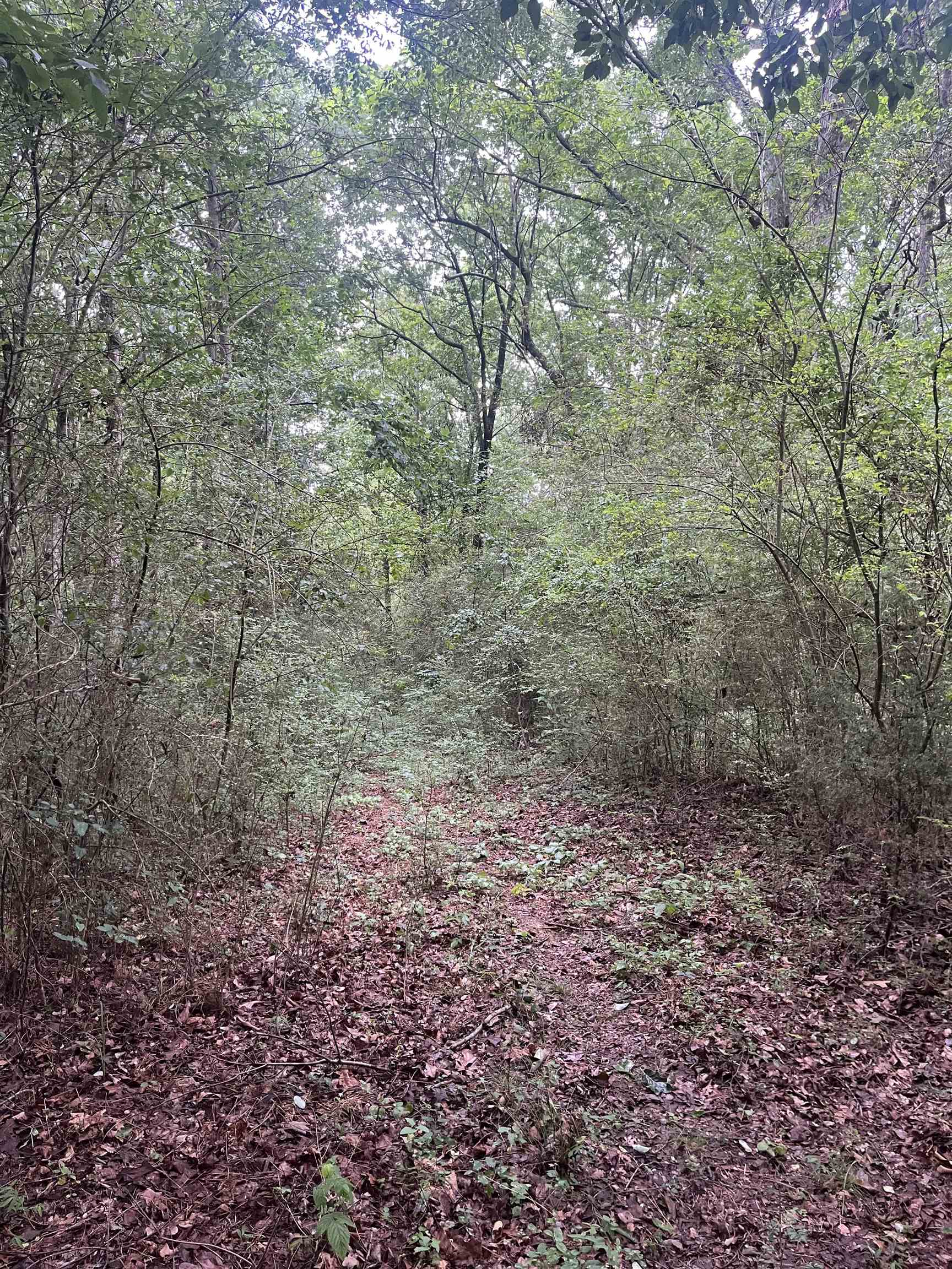 179 Co Rd 939