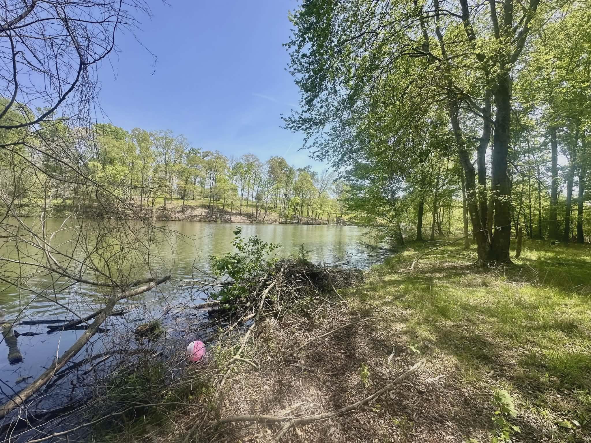 327 Heron Cove Rd - Photo 3