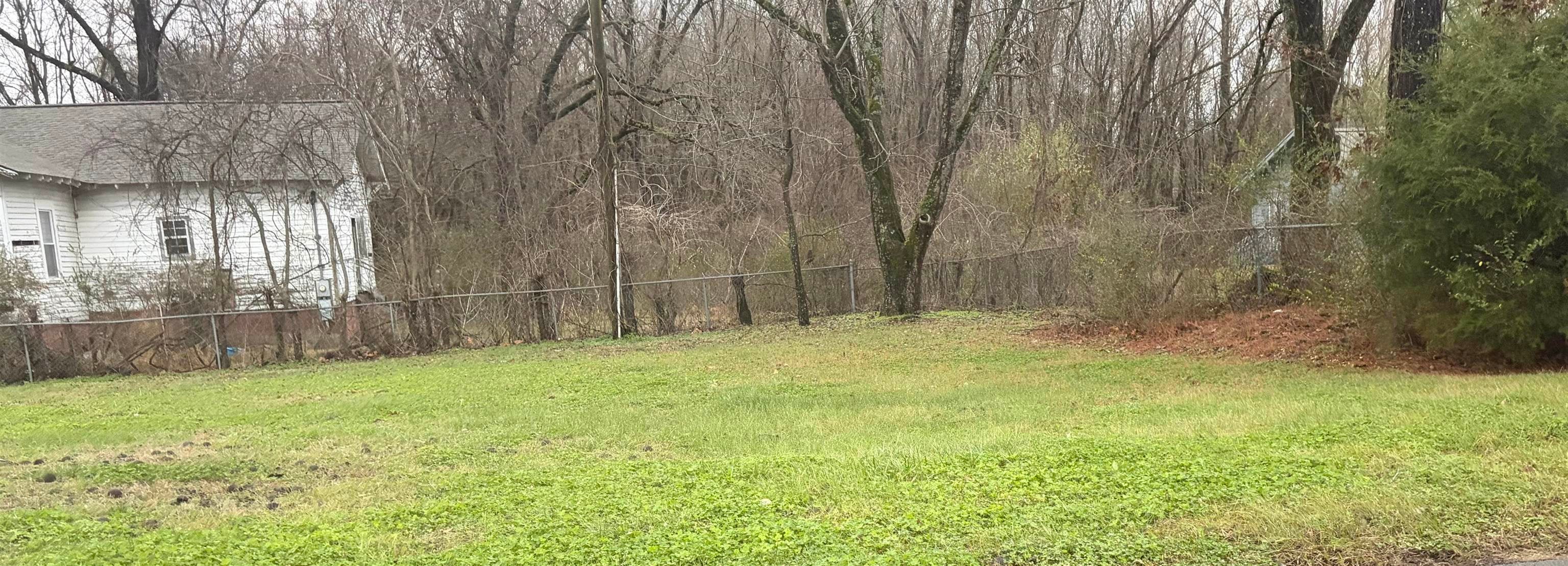 0 Old Lee Hwy - Photo 3