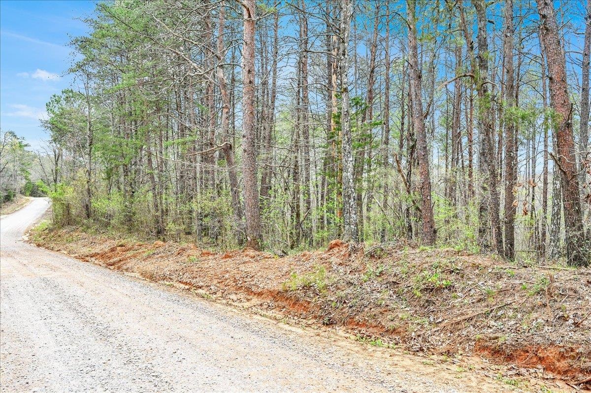 3166 Co Rd 113