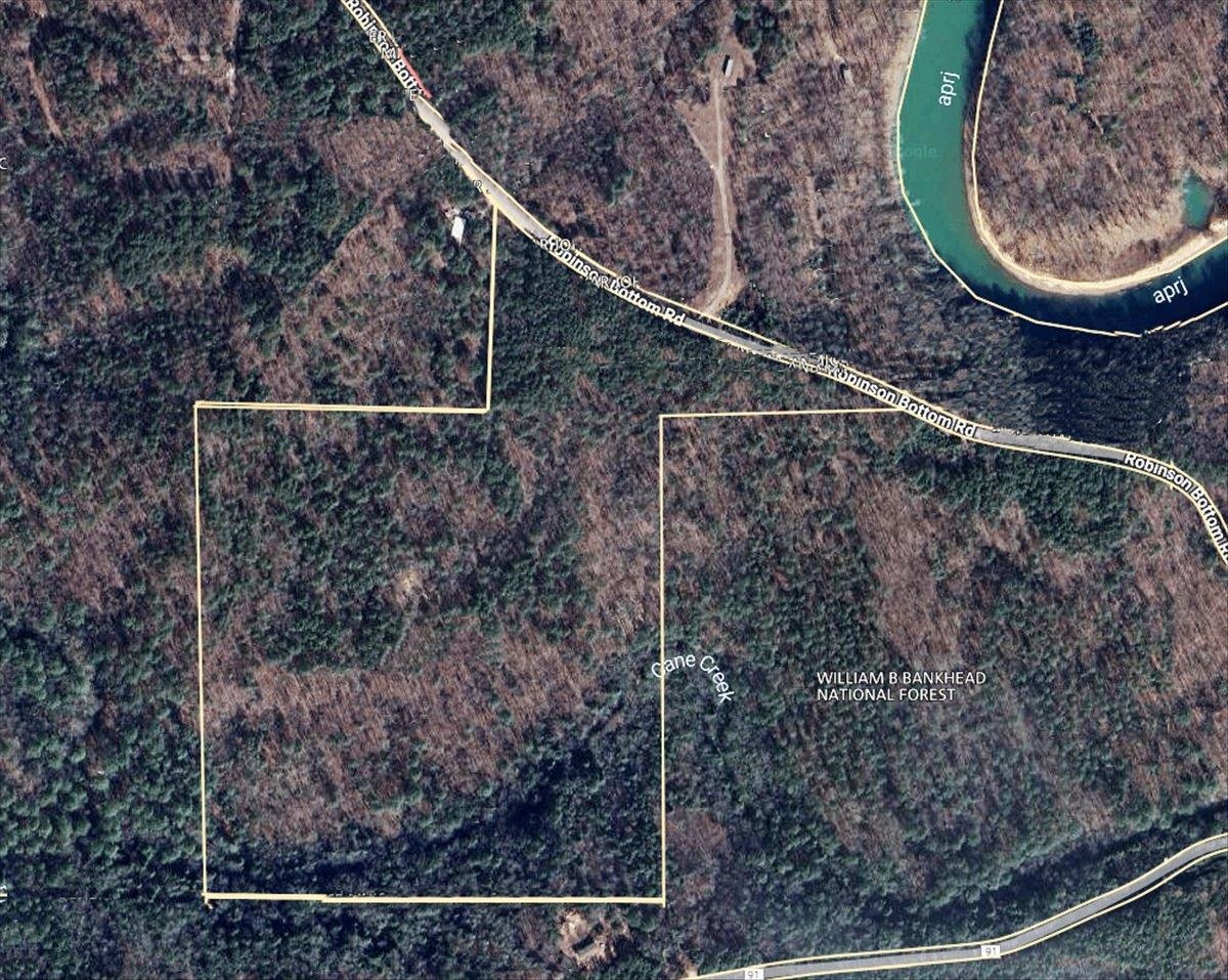 3166 Co Rd 113