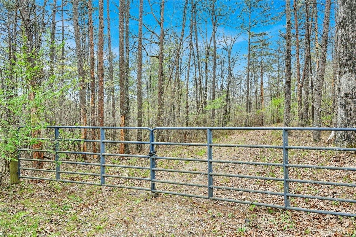 3166 Co Rd 113