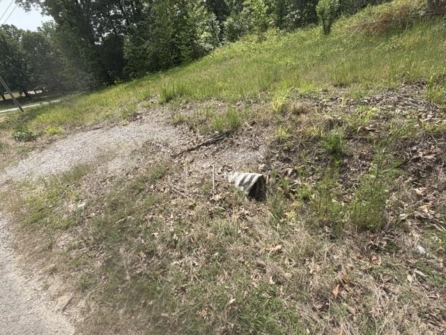 Lot 18 Hawk Pride Homestead Rd - Photo 2
