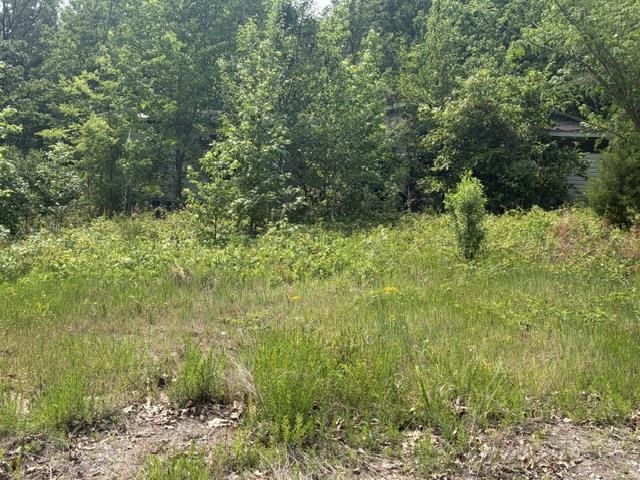 Lot 18 Hawk Pride Homestead Rd - Photo 4