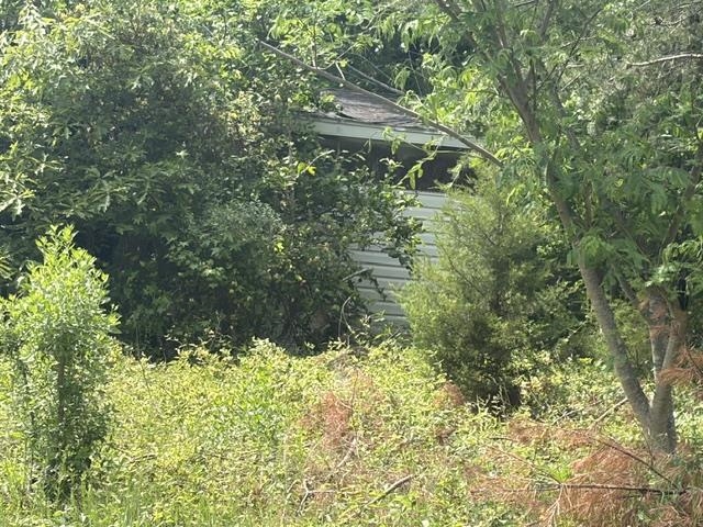 Lot 18 Hawk Pride Homestead Rd - Photo 3