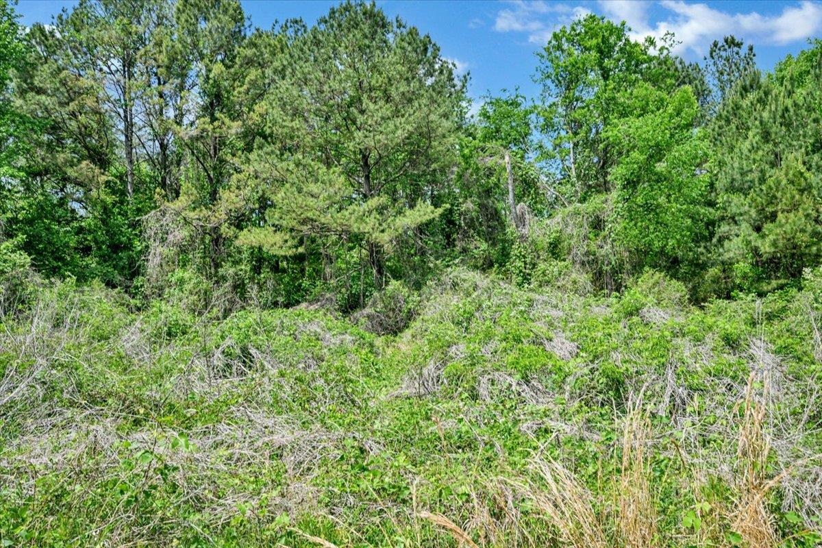 Lot 5 Mill Creek Rd