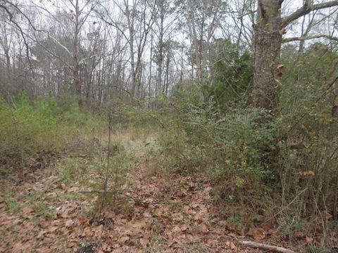 313 Self Ave Hanceville AL 35077