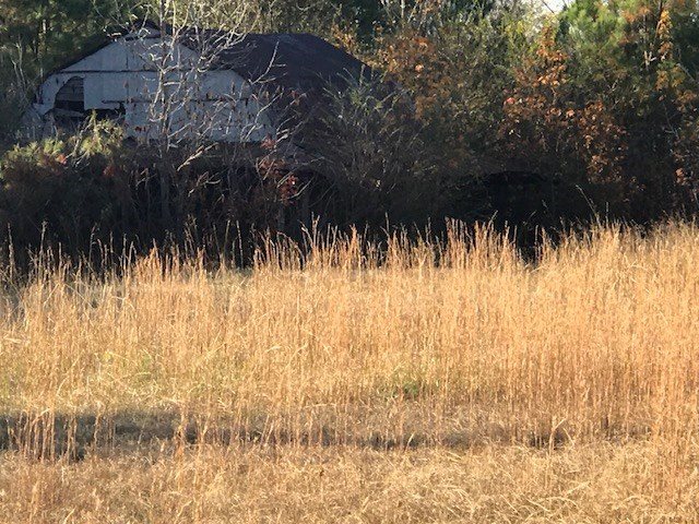 190 County Hwy 55 - Photo 2