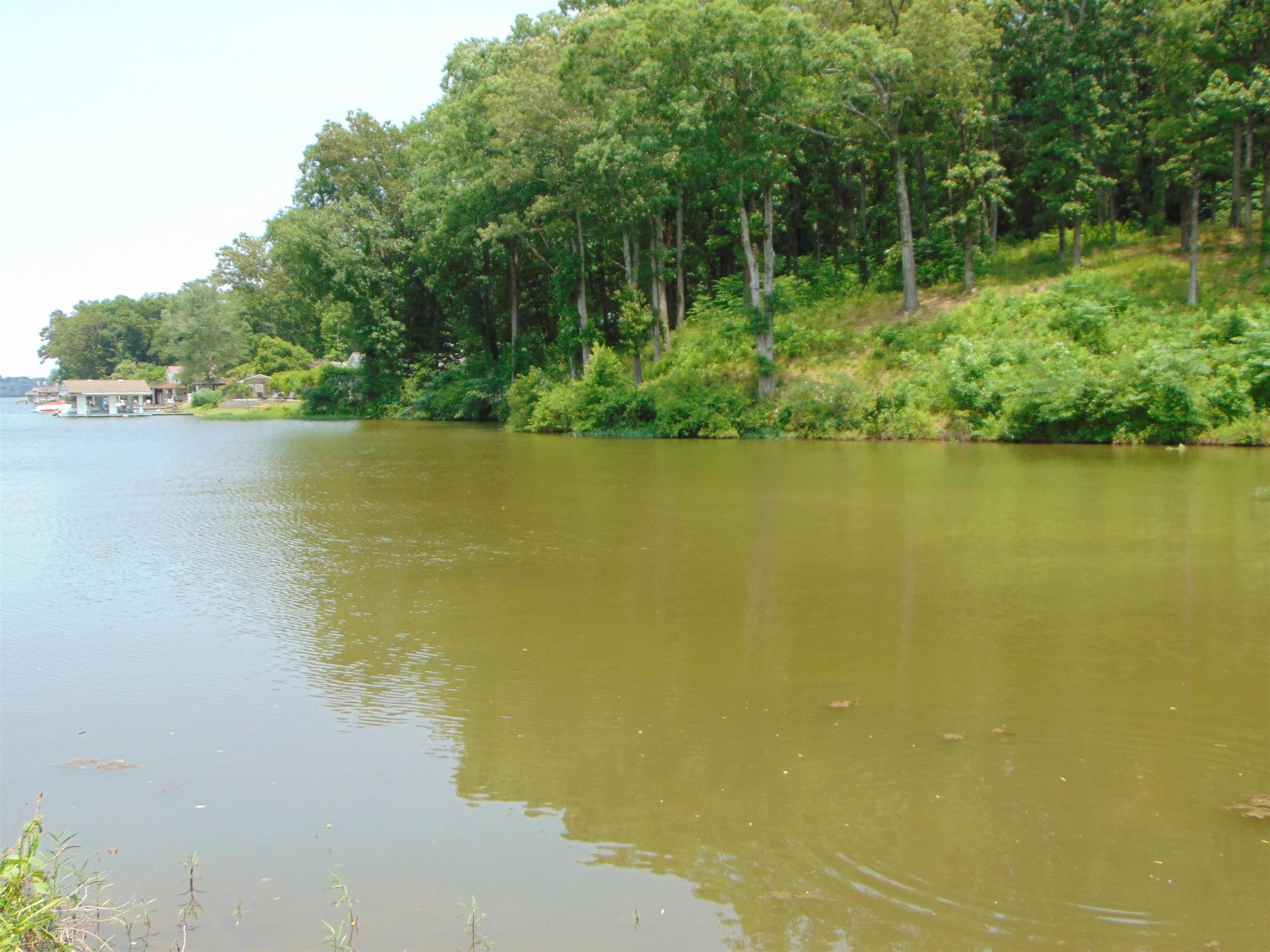 Photo 1 of 13 — 006 Wilson Lake Shores Rd, Muscle Shoals, AL 35661