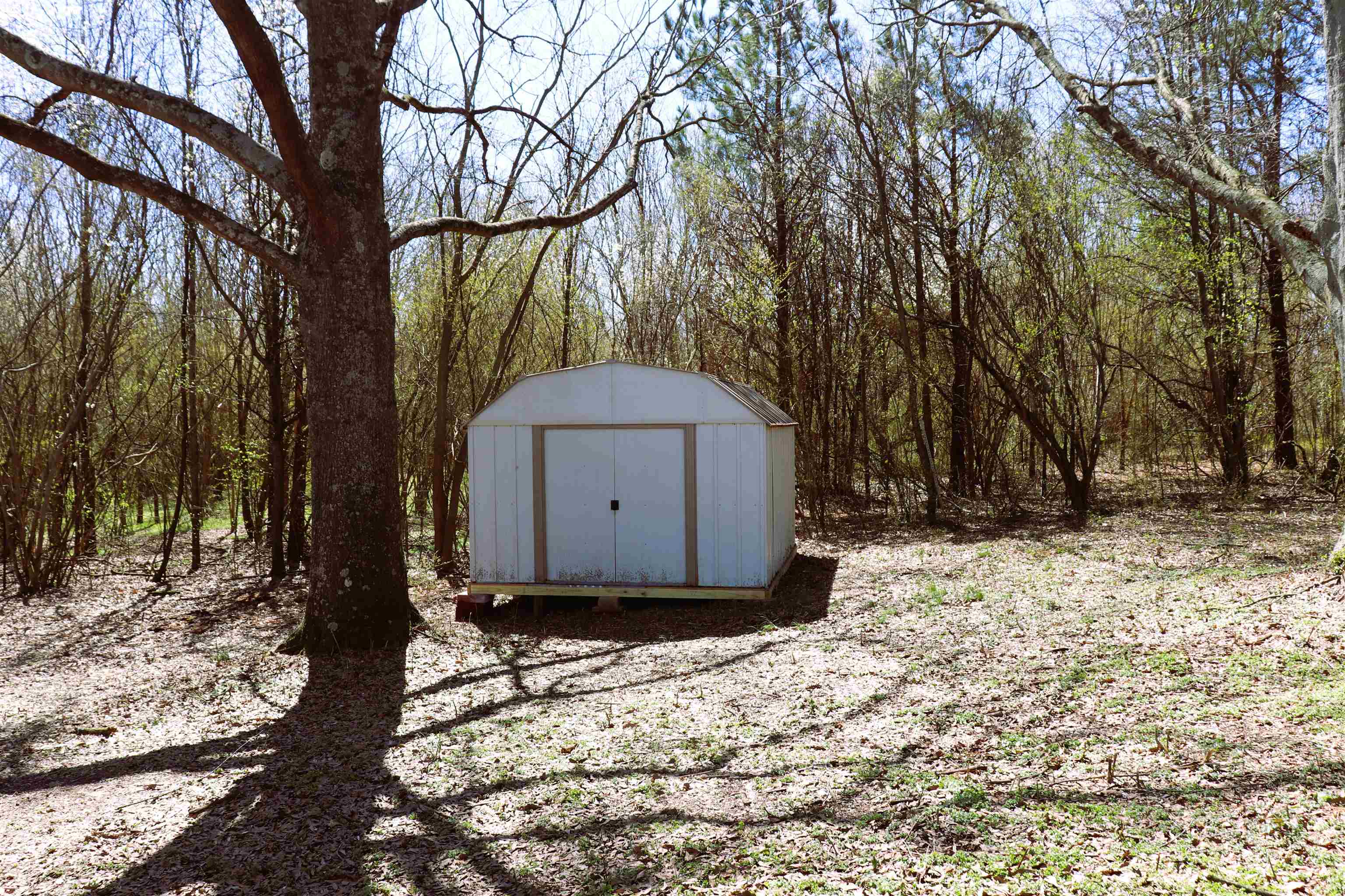 80 Co Rd 1619