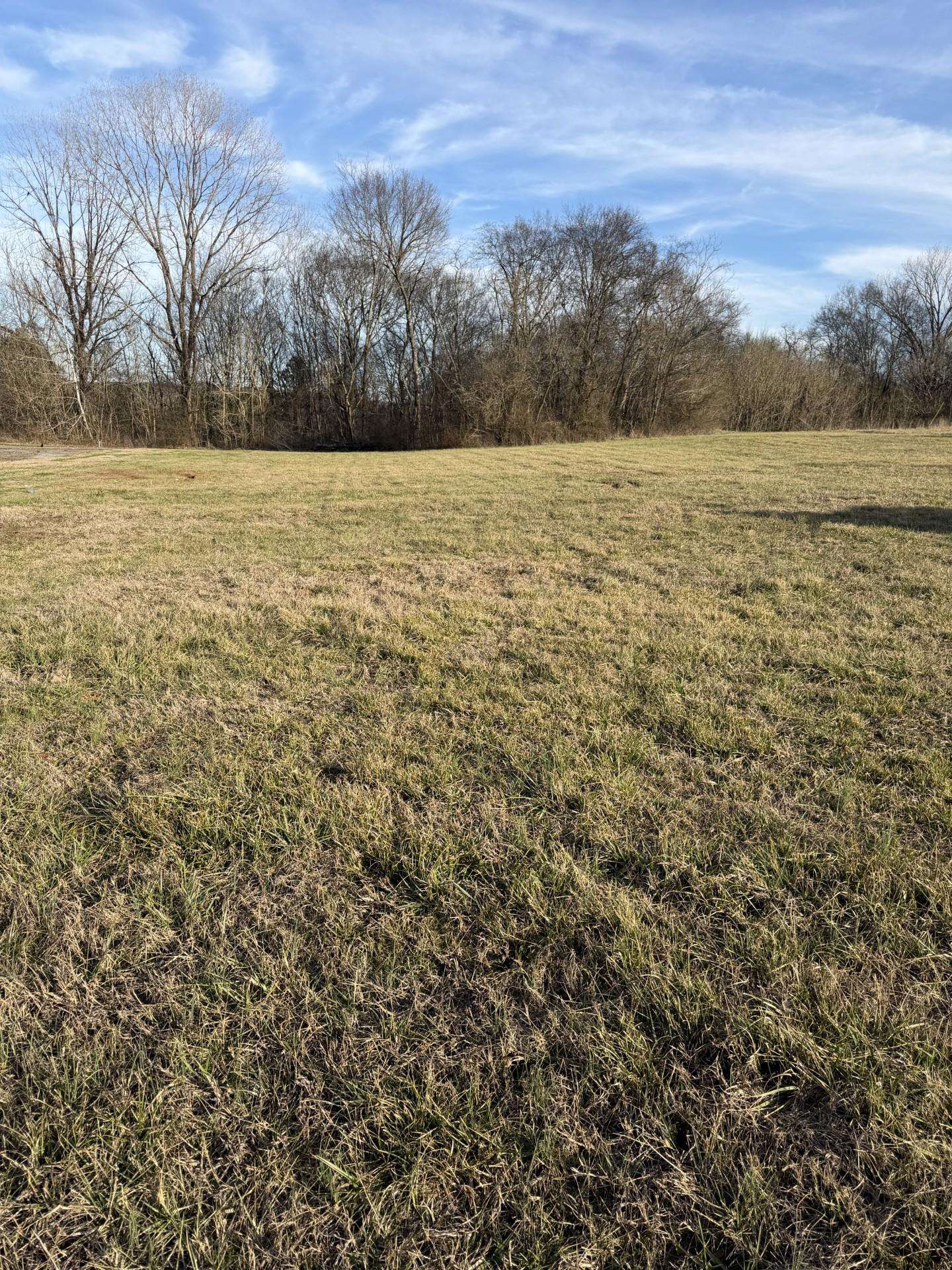 Photo 1 of 2 — 14520 Hwy 43, Russellville, AL 35653
