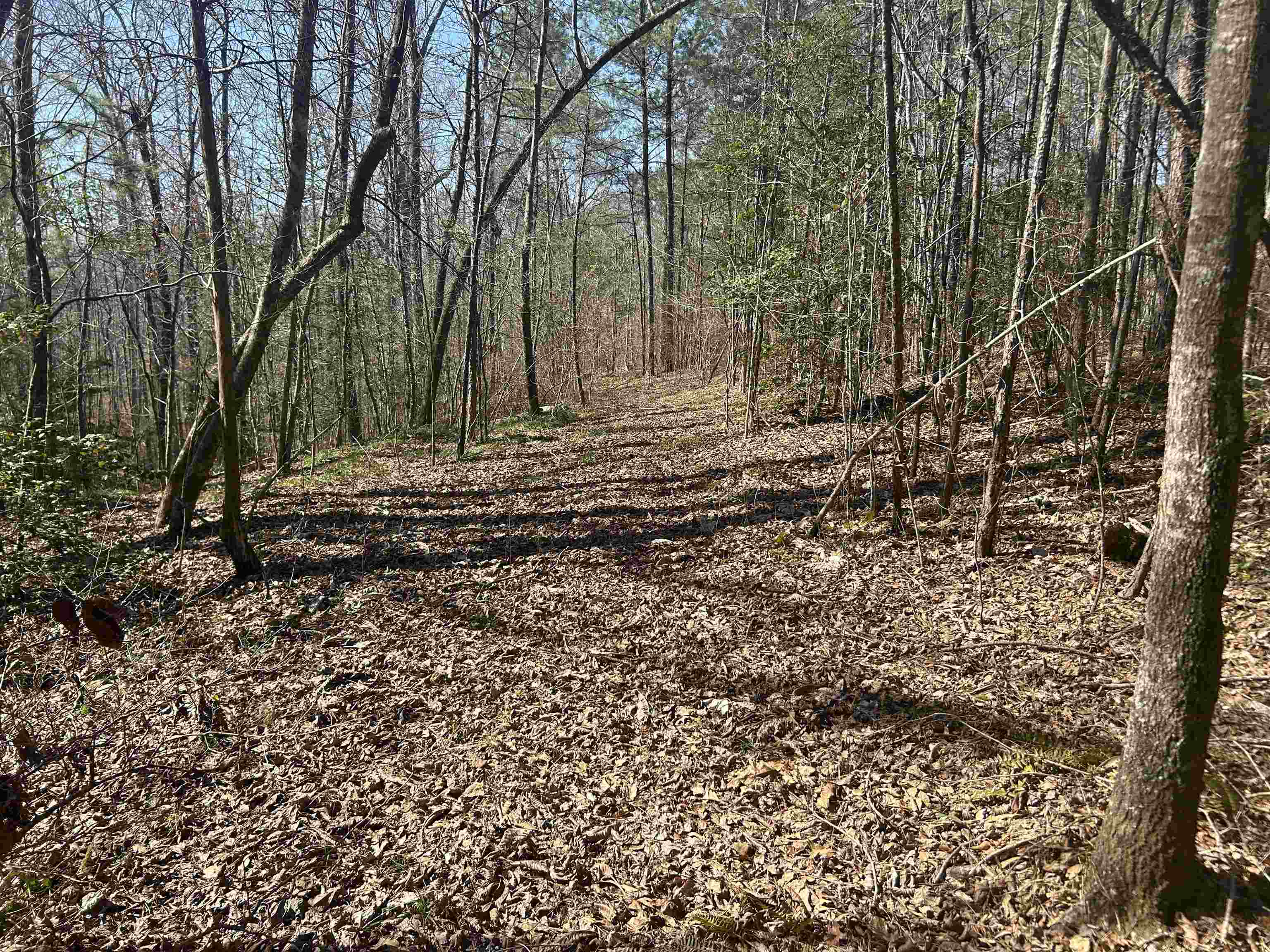 Lot 56 Shoreside Dr