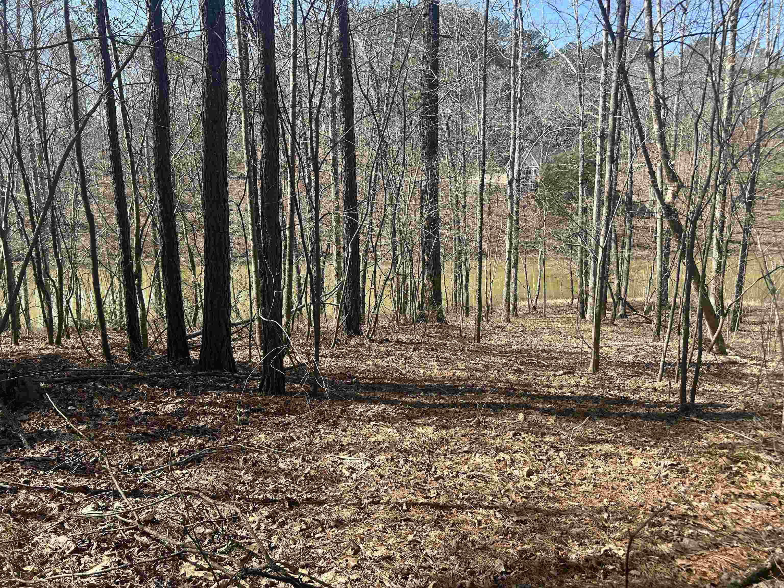 Lot 56 Shoreside Dr