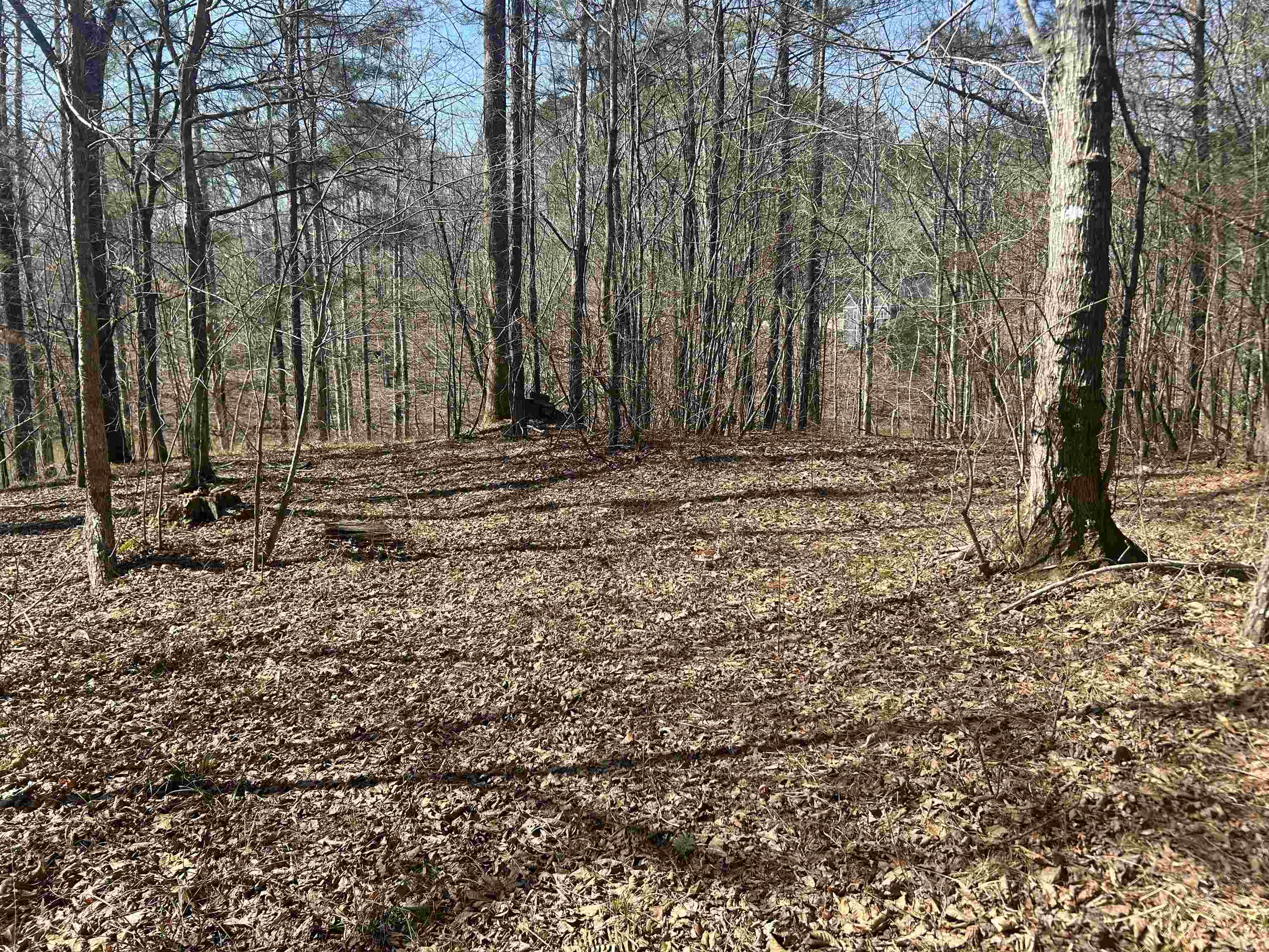 Lot 56 Shoreside Dr