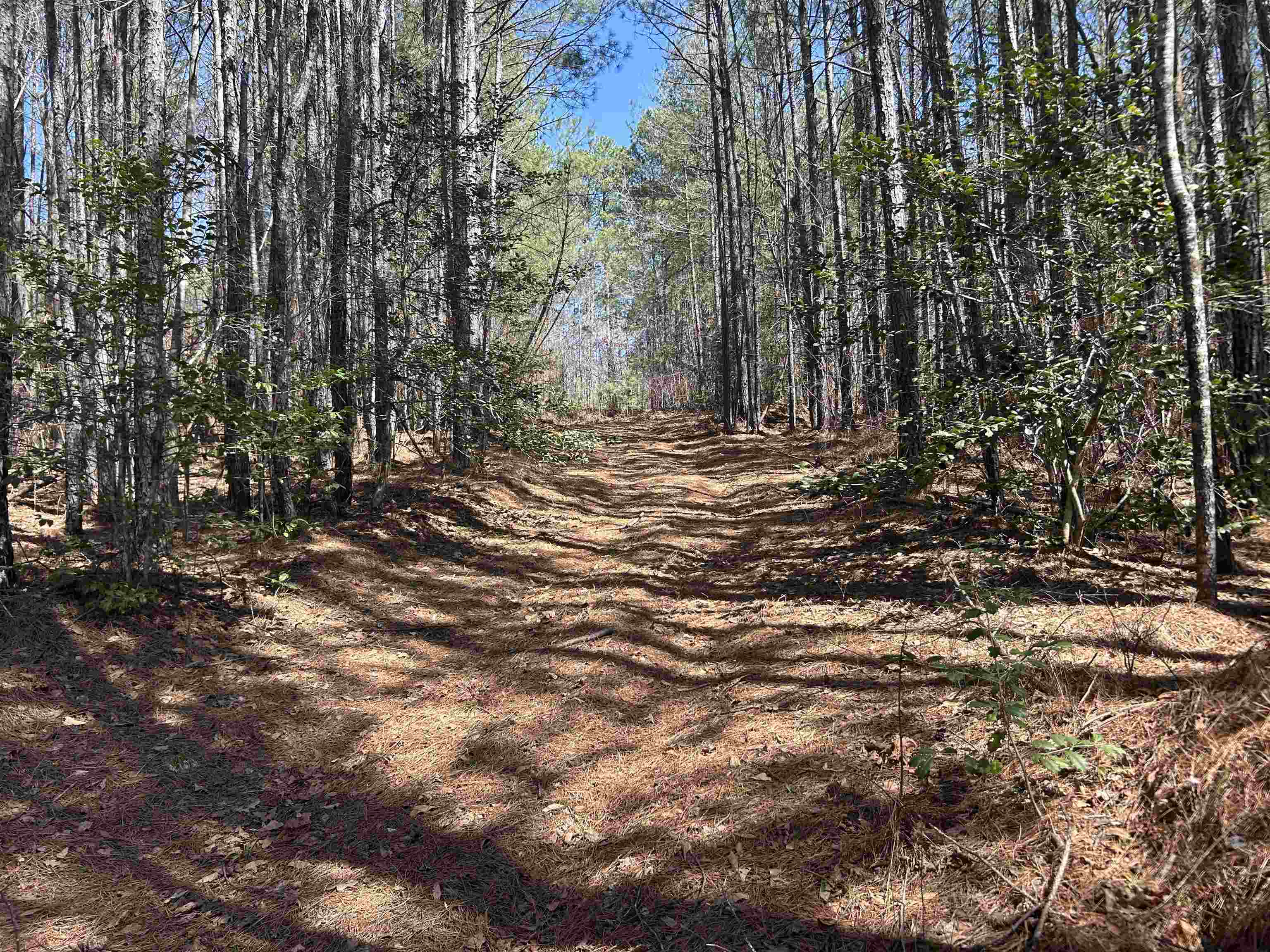 Lot 77 Shoreside Dr