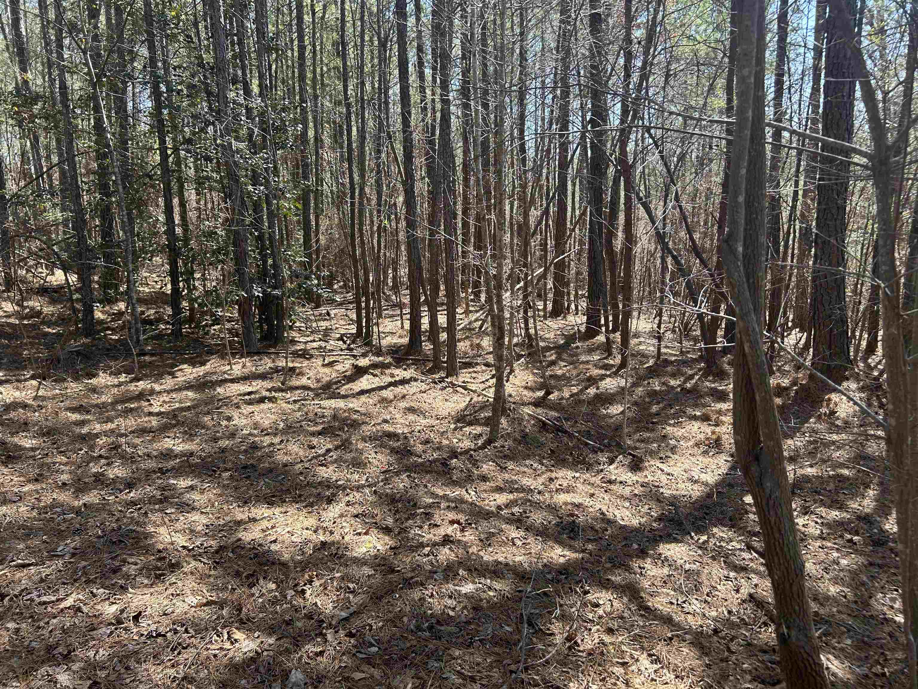 Lot 77 Shoreside Dr