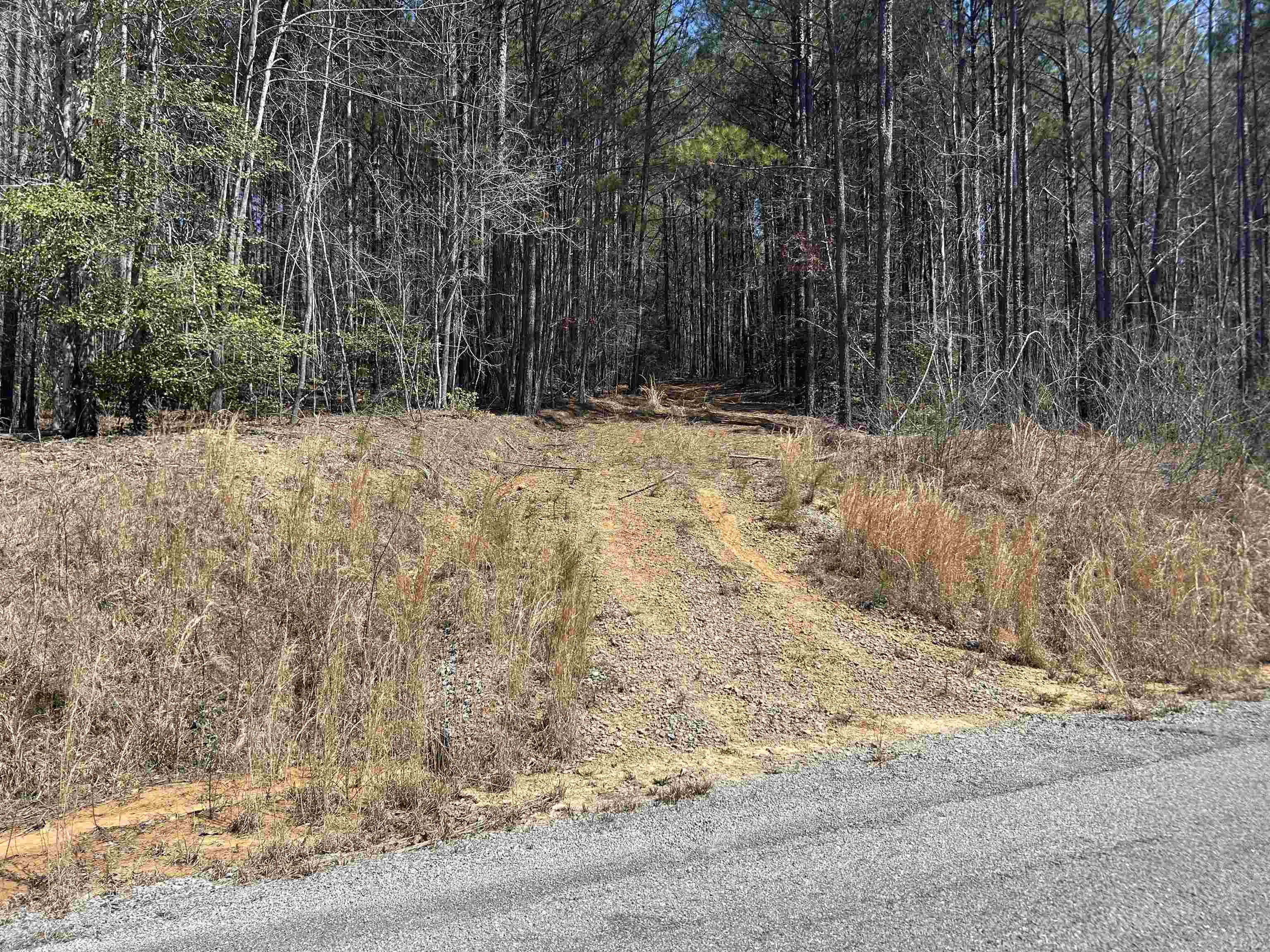 Lot 77 Shoreside Dr