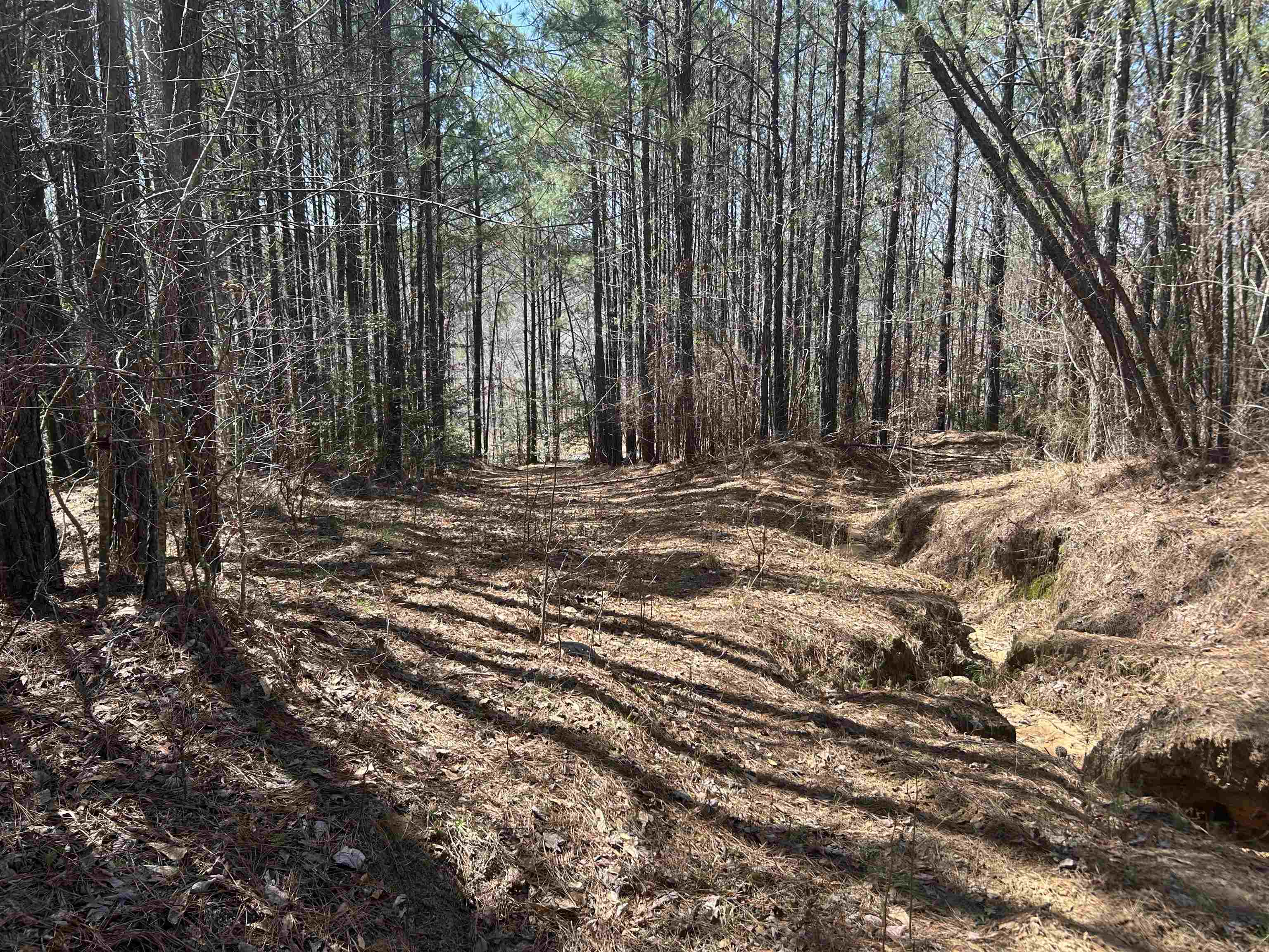 Lot 77 Shoreside Dr