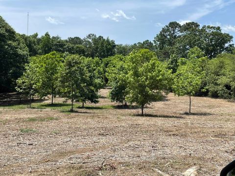 1021 Co Rd 1242 Vinemont AL 