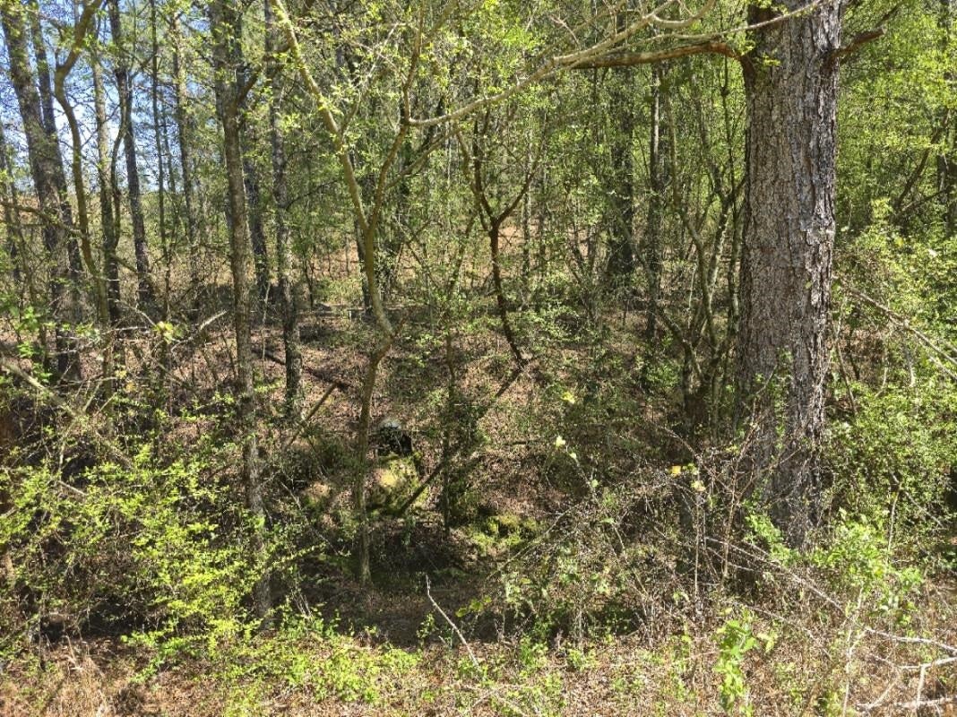 Alabama Hwy 91