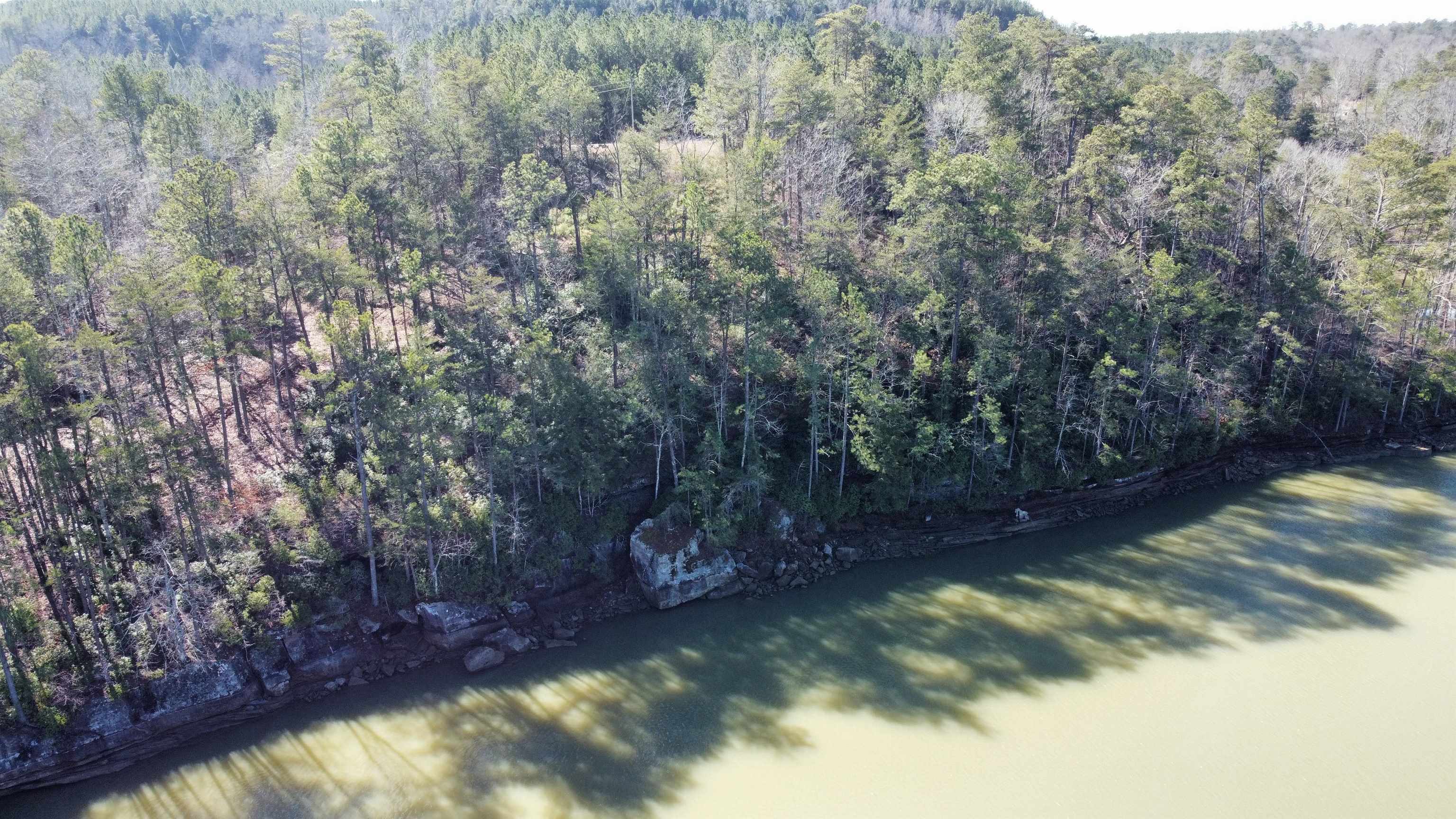 Lot 59 Sipsey Overlook