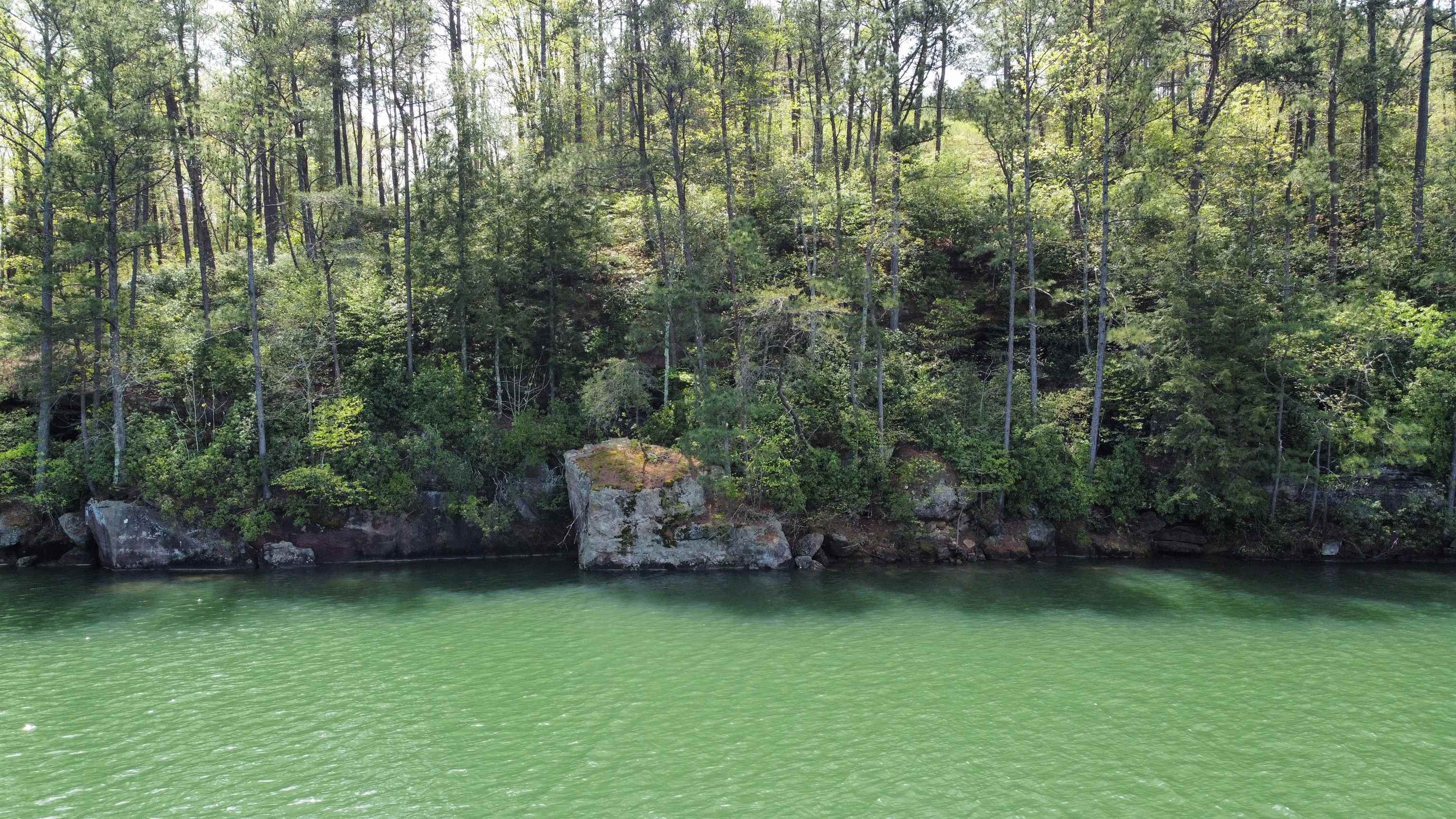 Lot 59 Sipsey Overlook