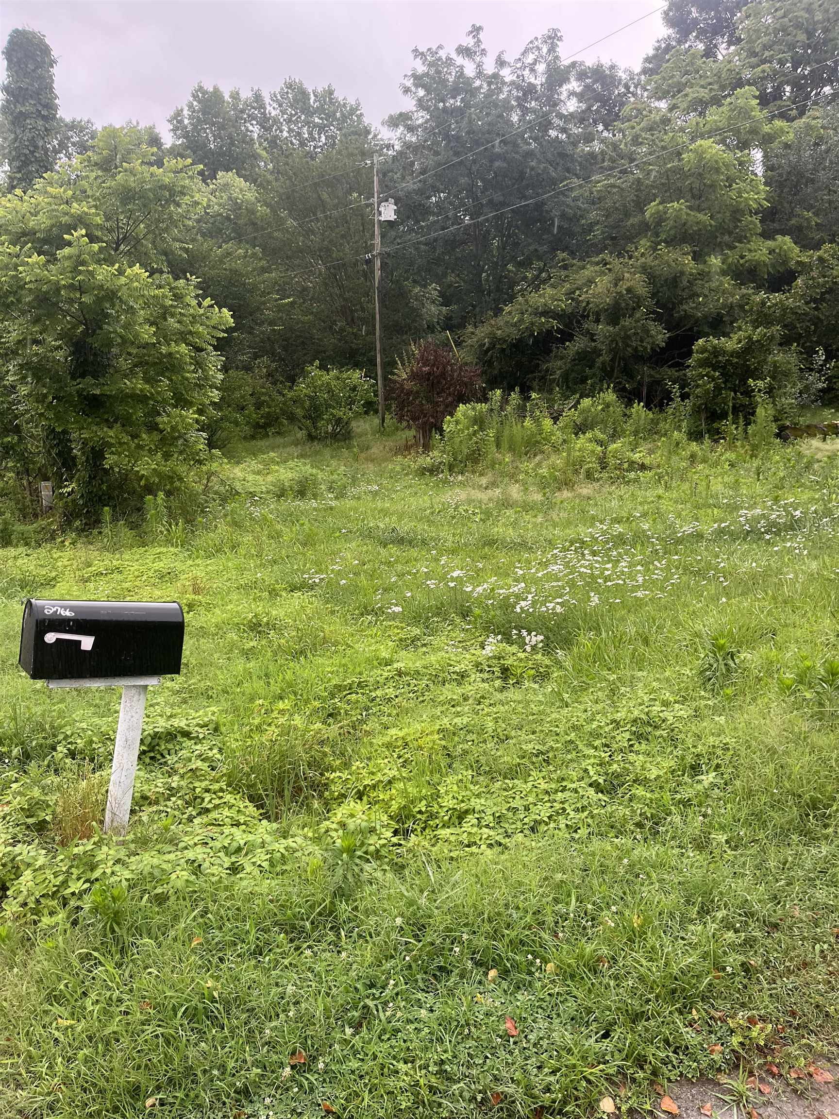2766 Co Rd 1488