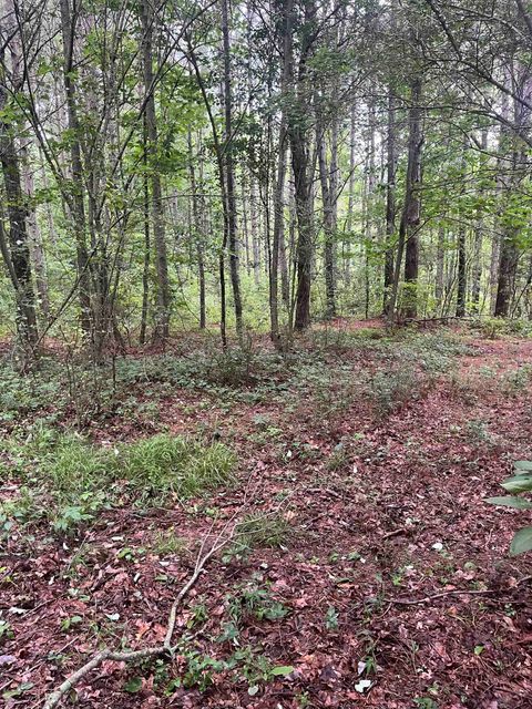 179 Co Rd 939 Cullman AL 35057