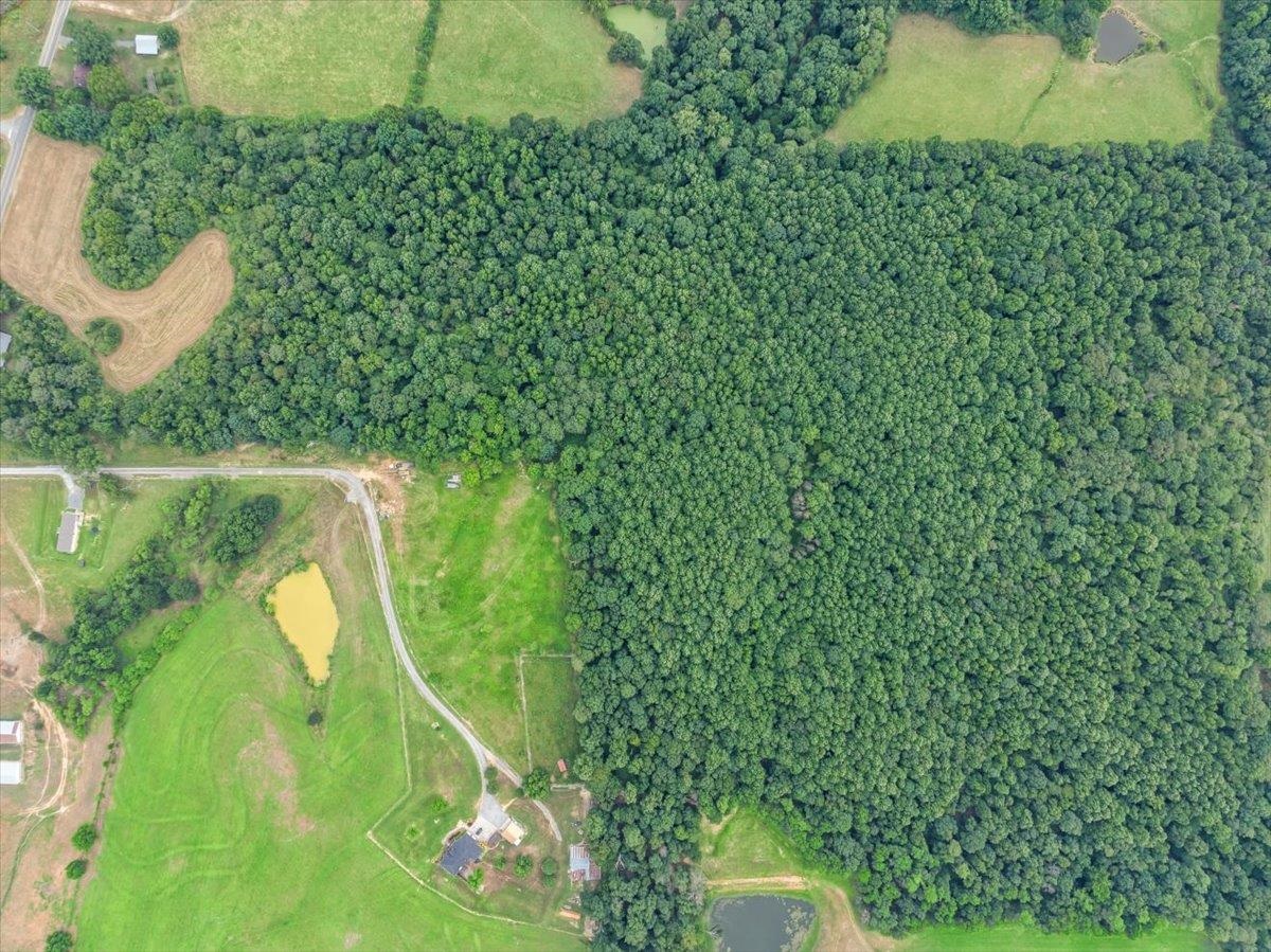 2495 Co Rd 1564