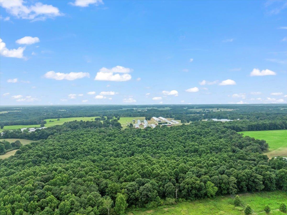2495 Co Rd 1564