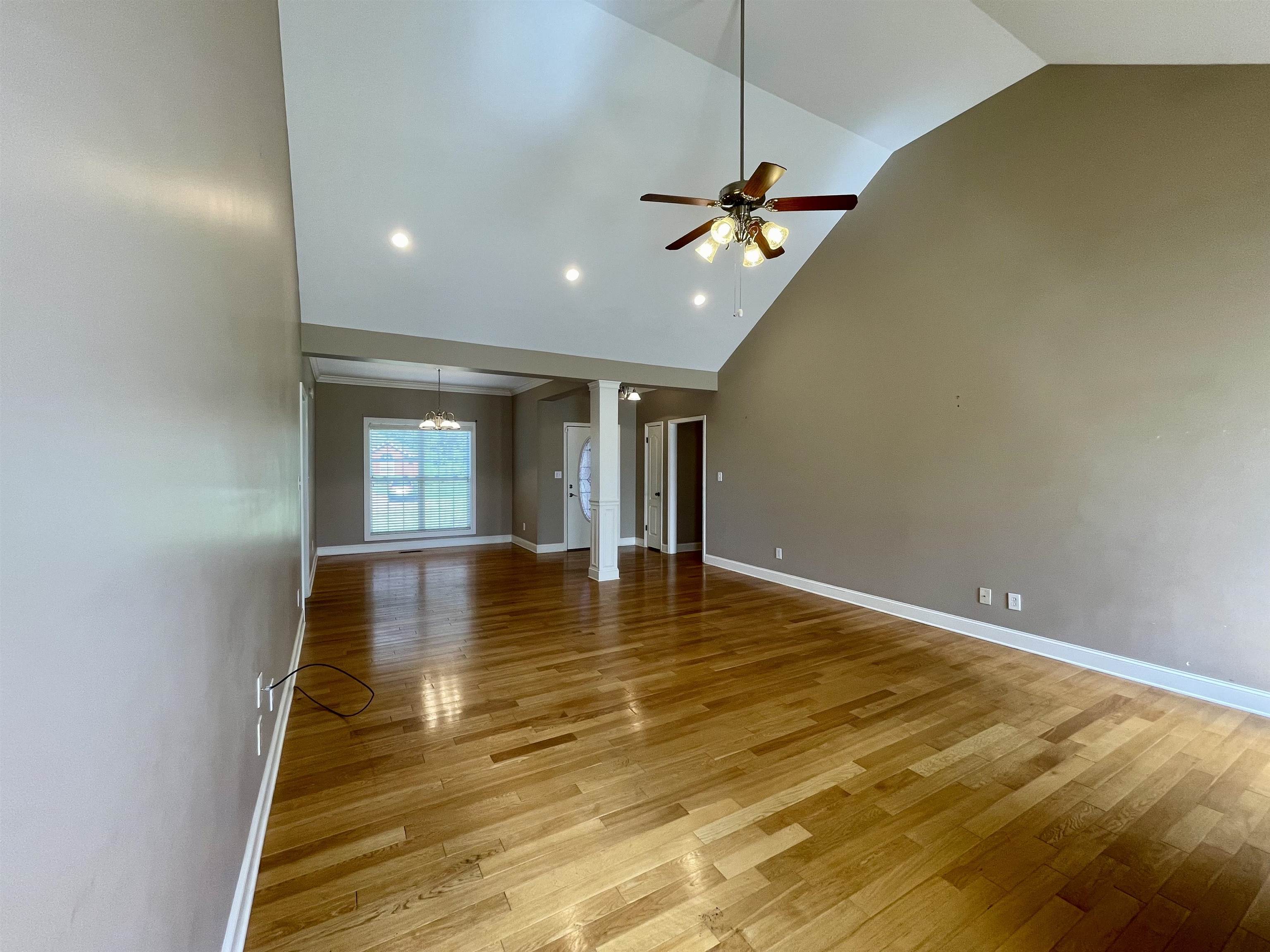 242 Co Rd 482