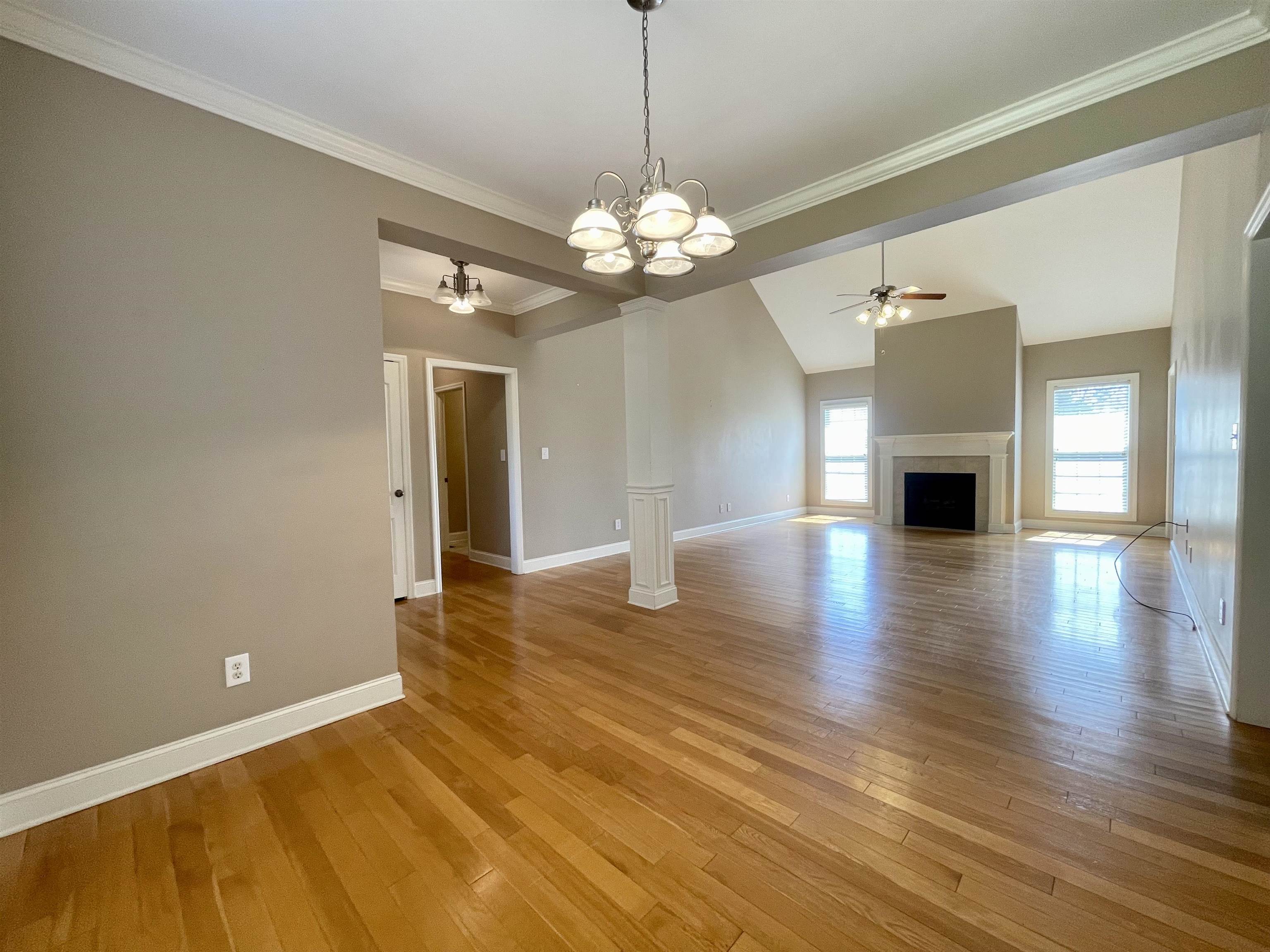 242 Co Rd 482