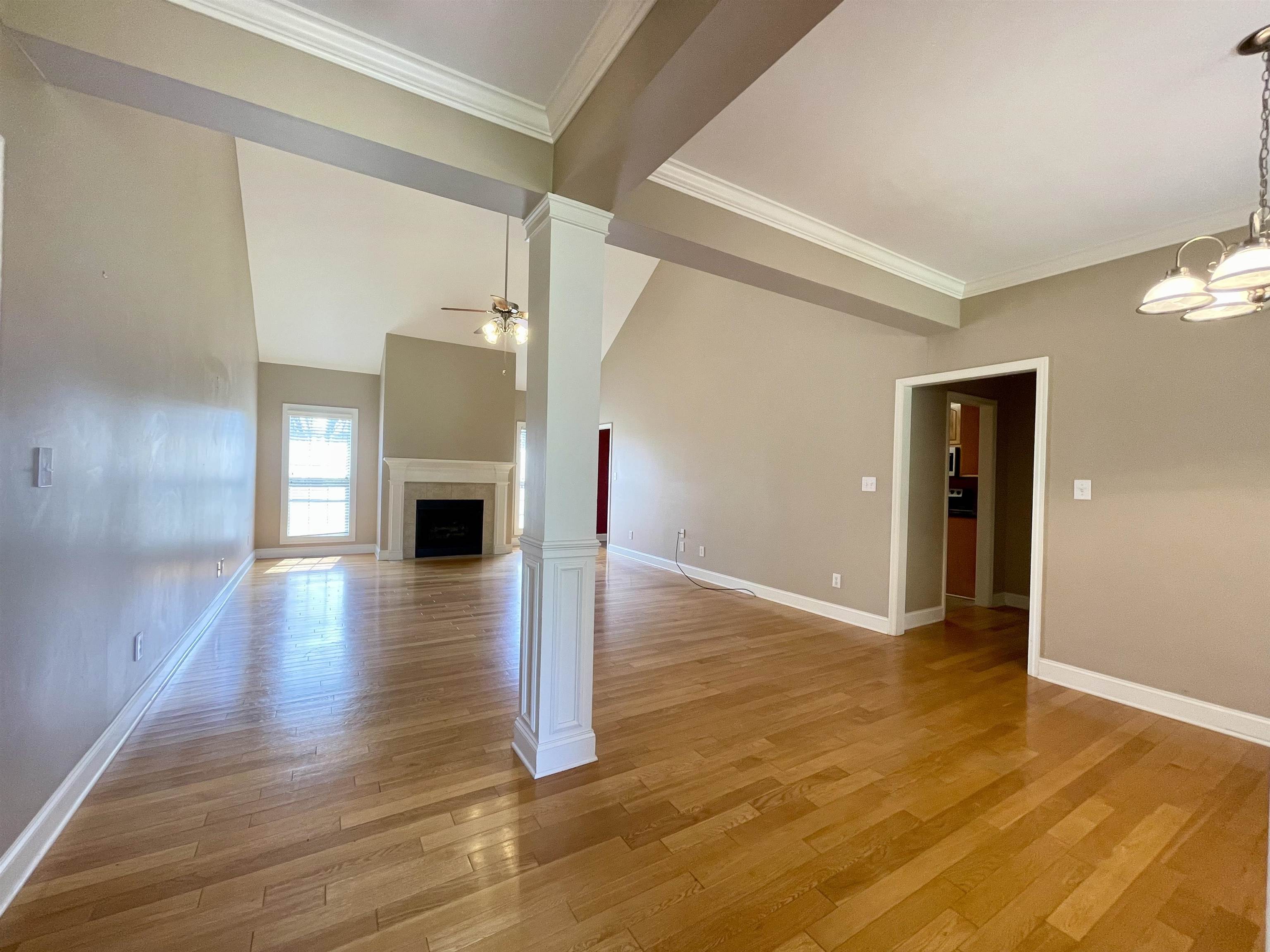 242 Co Rd 482