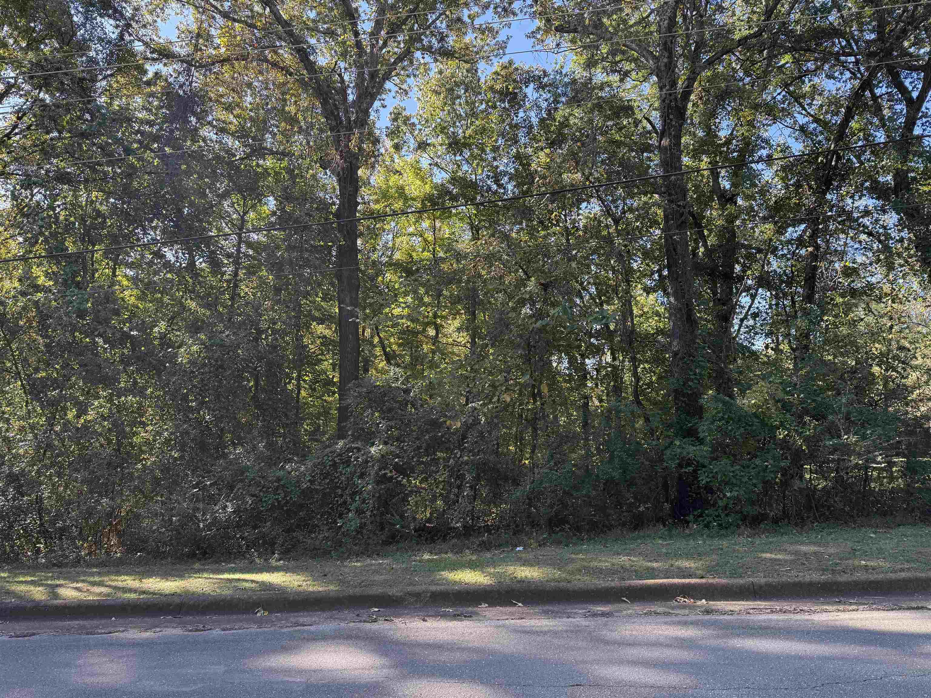 Photo 1 of 1 — LOT 36 Pickwick St, Sheffield, AL 35660