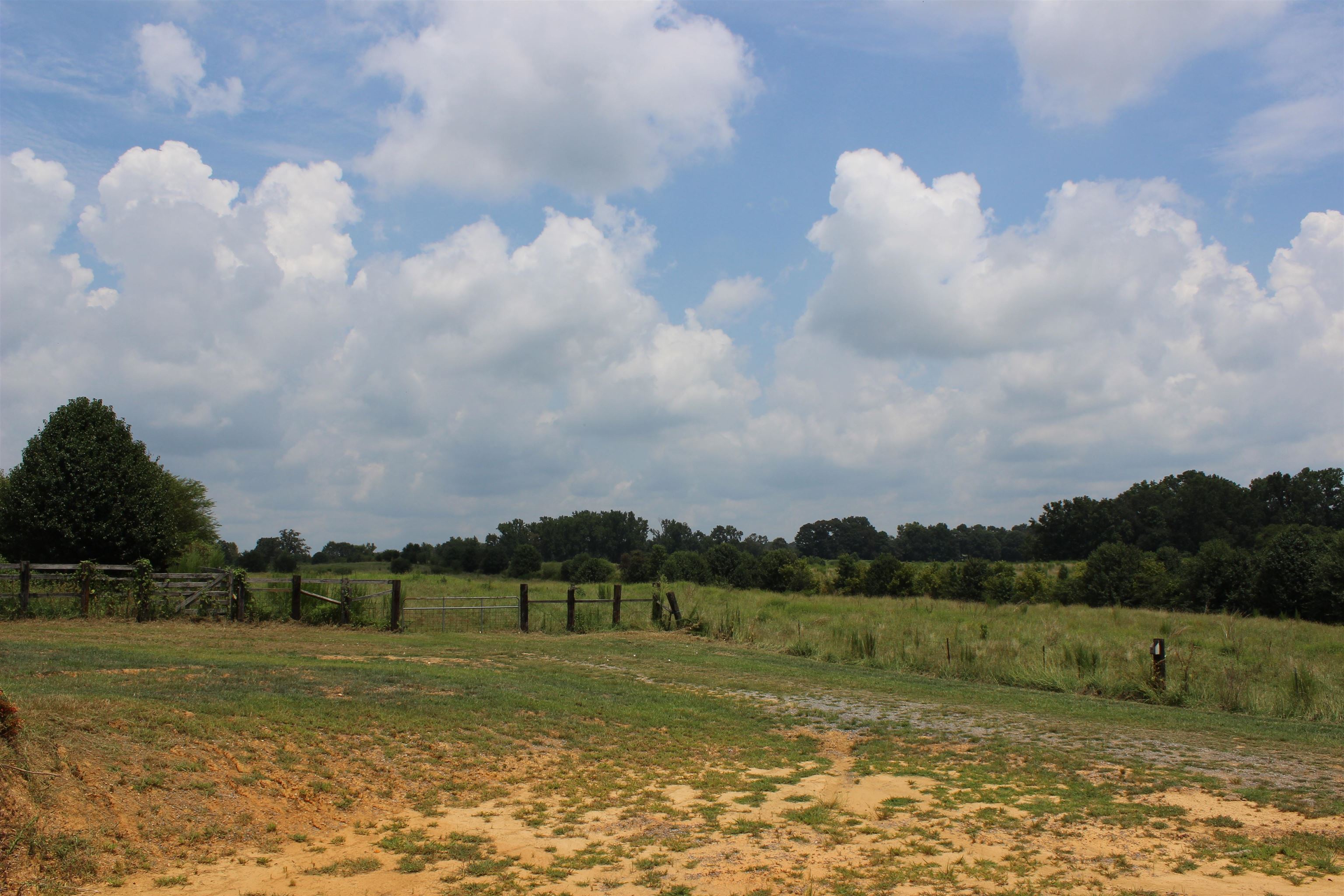 455 Co Rd 1678