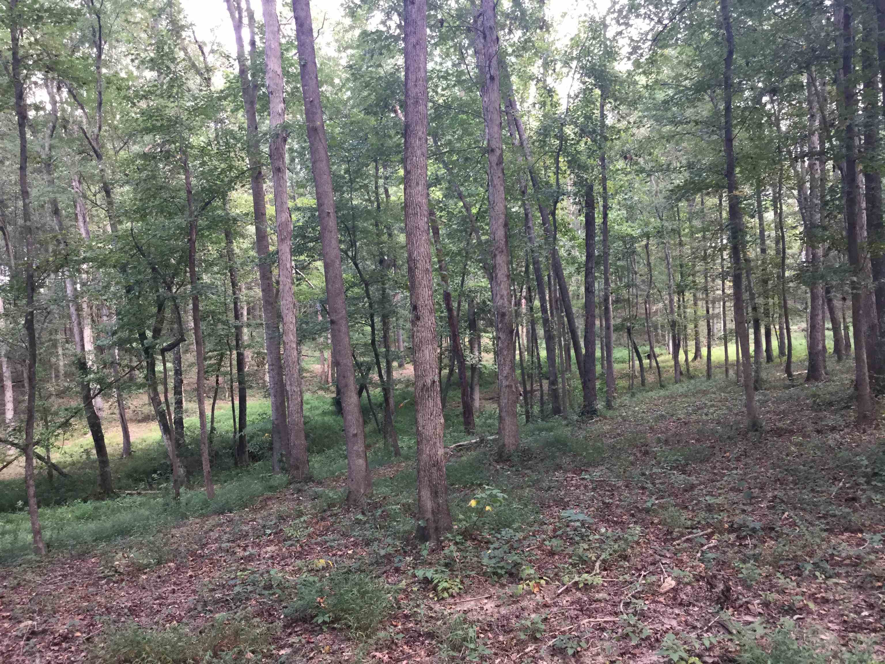 000 Co Rd 1693