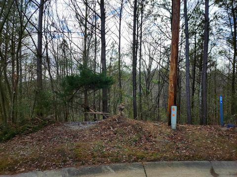 Lot 10 Co Rd 1636 Lot 10 Cullman AL 35058