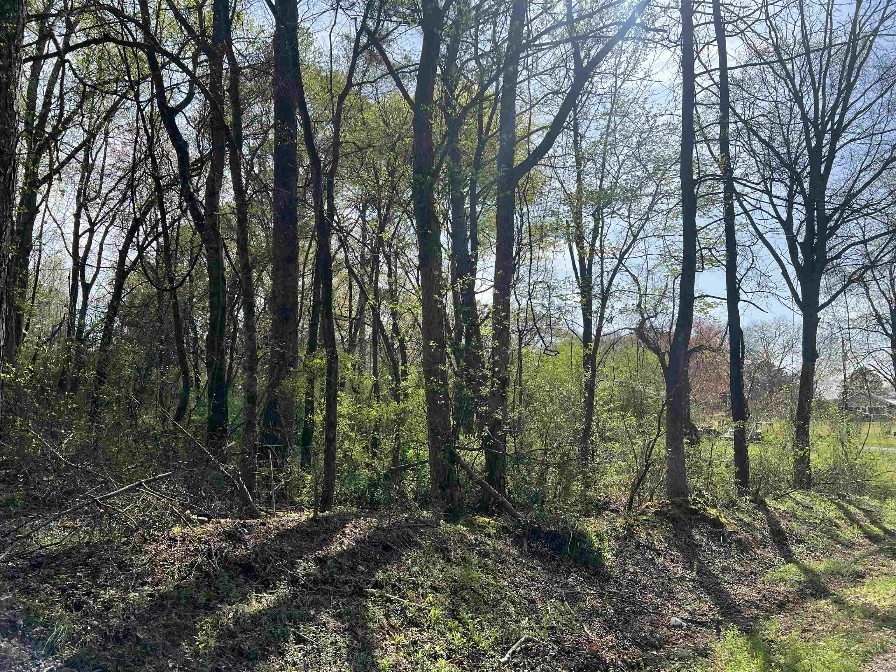 5965 Co Hwy 30