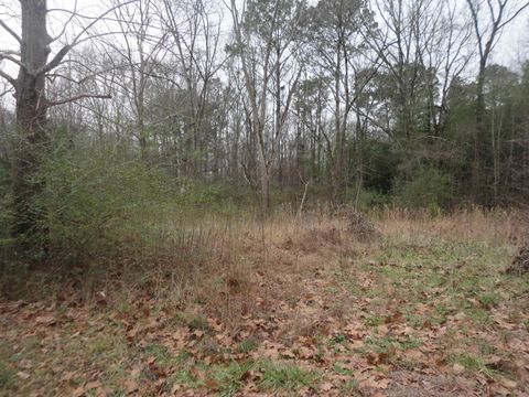 315 Self Ave Hanceville AL 35077