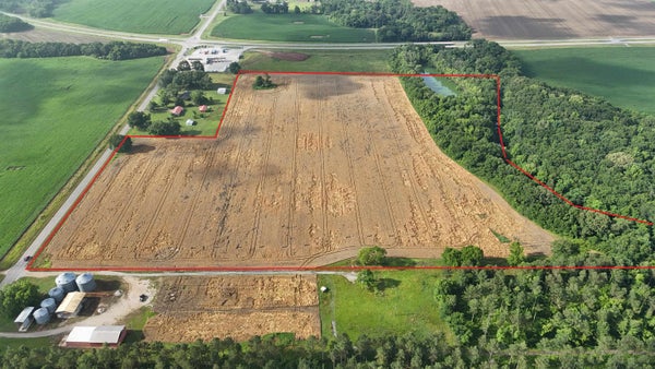 COUNTY RD 150, COURTLAND, AL 35618 - Image a80acda2845d57ec1a6724fe7971004e/345494872