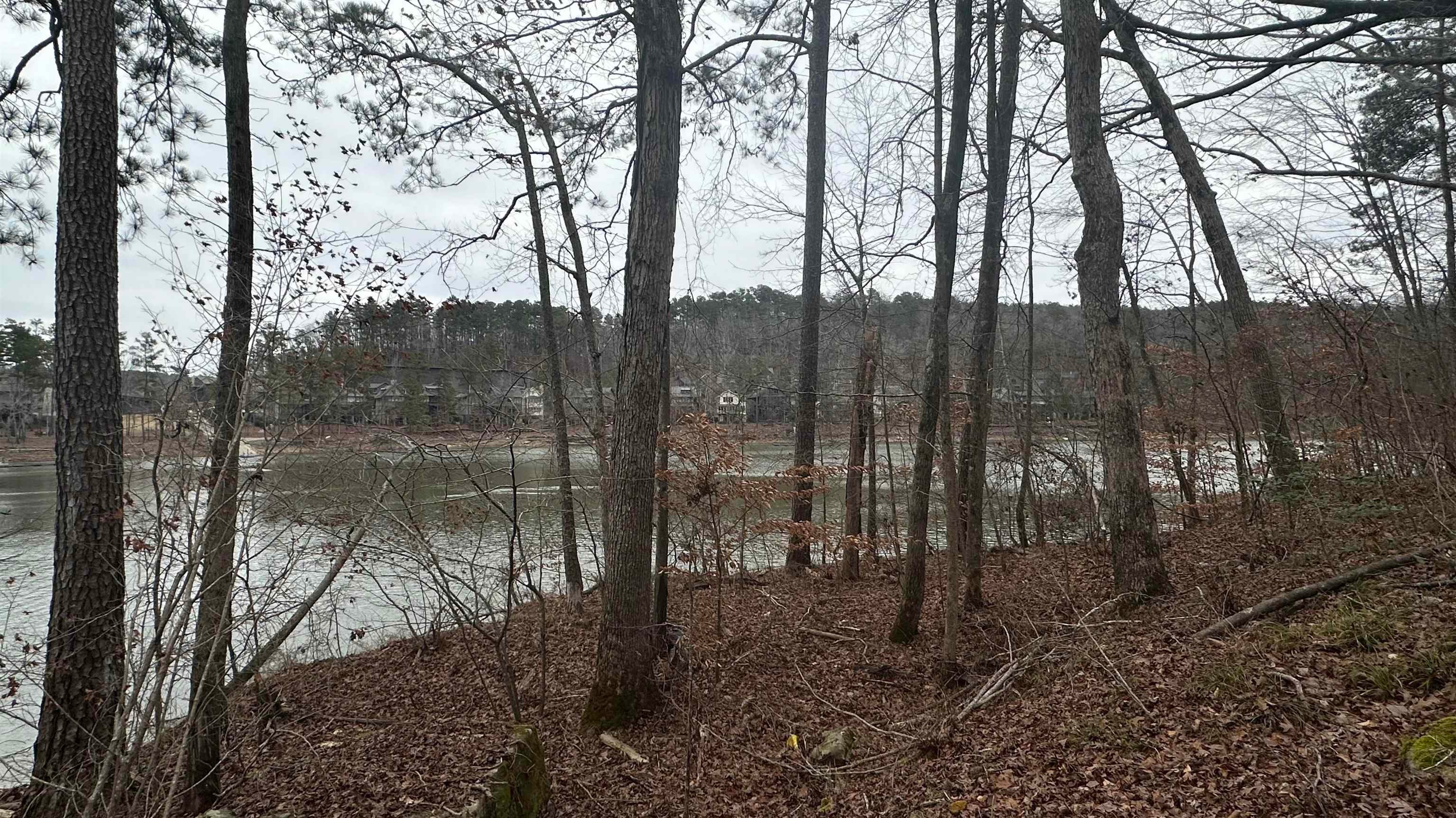Lot 8 Co Rd 106