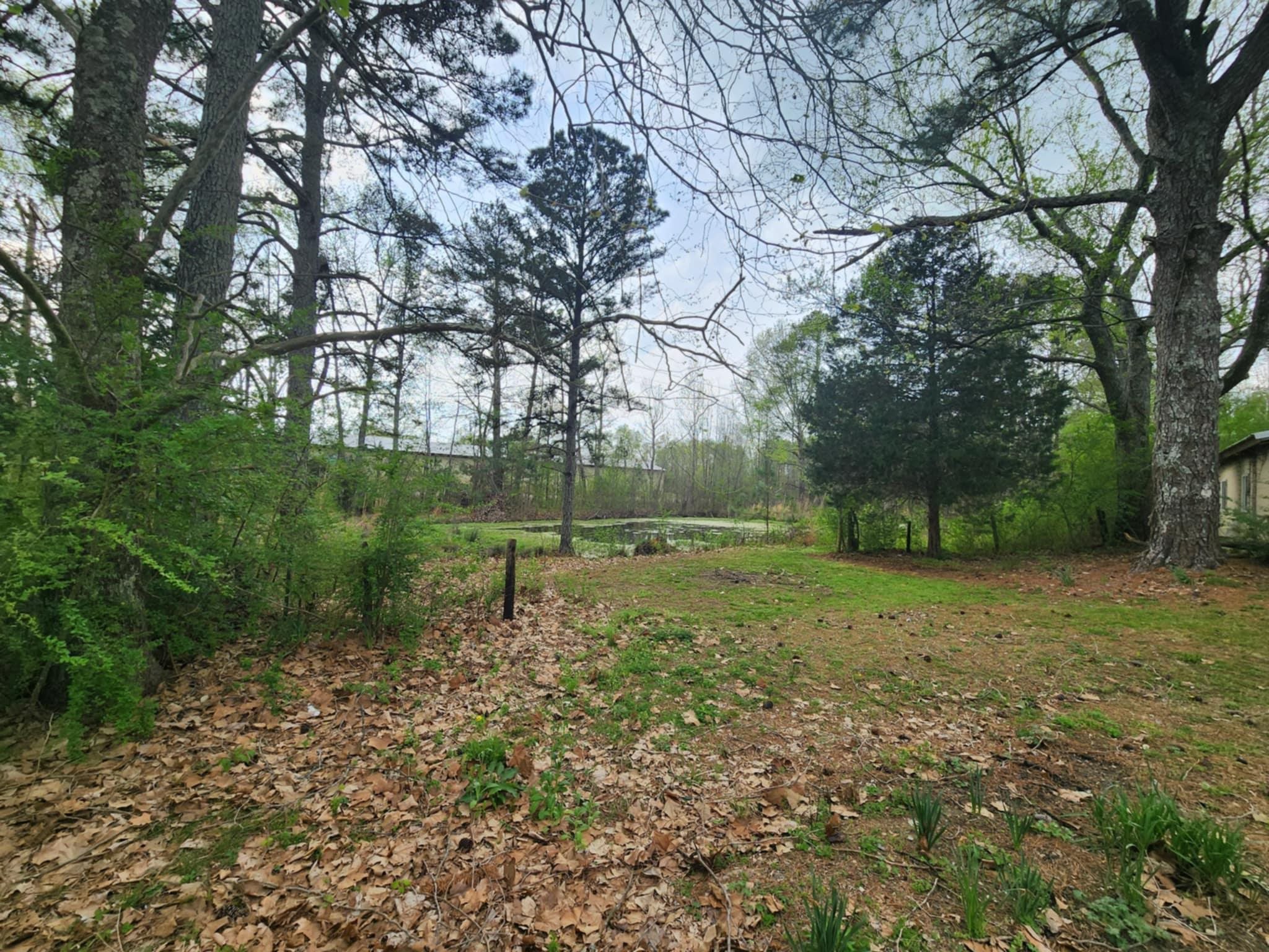 10756 Co Rd 222