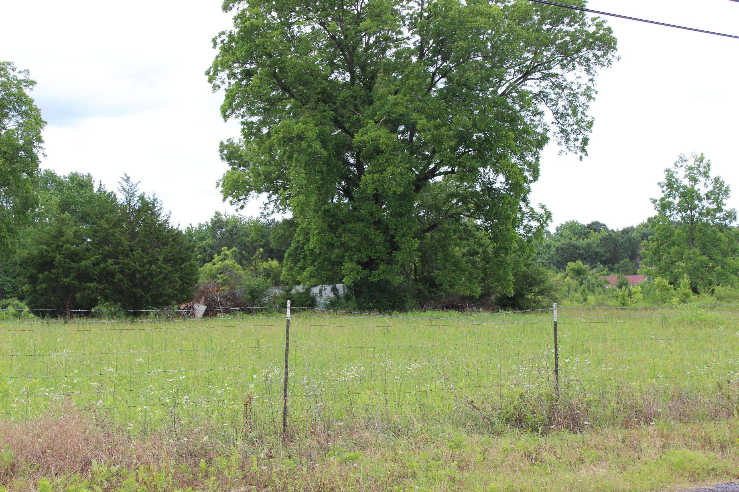 115 Co Rd 709