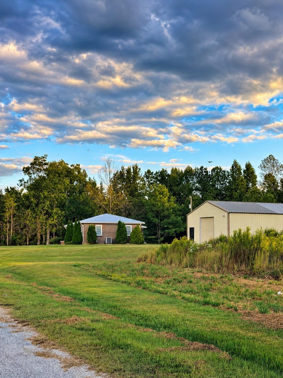 310 Dogwood Trl