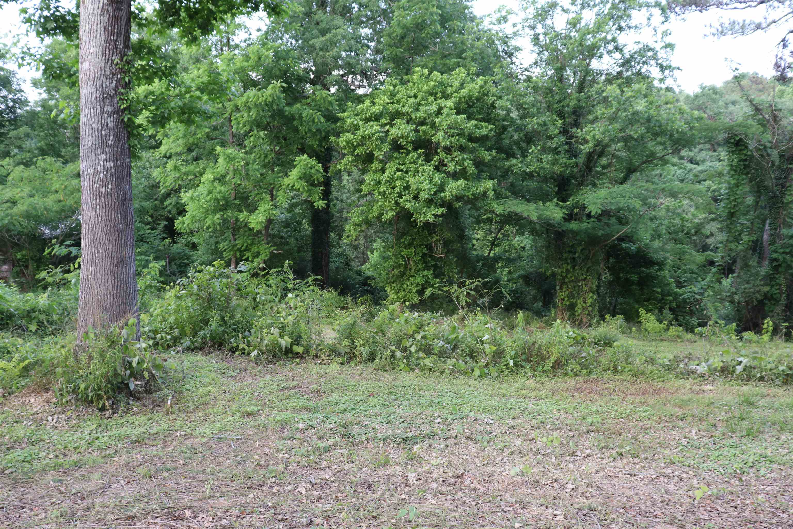312 Cliff Rd