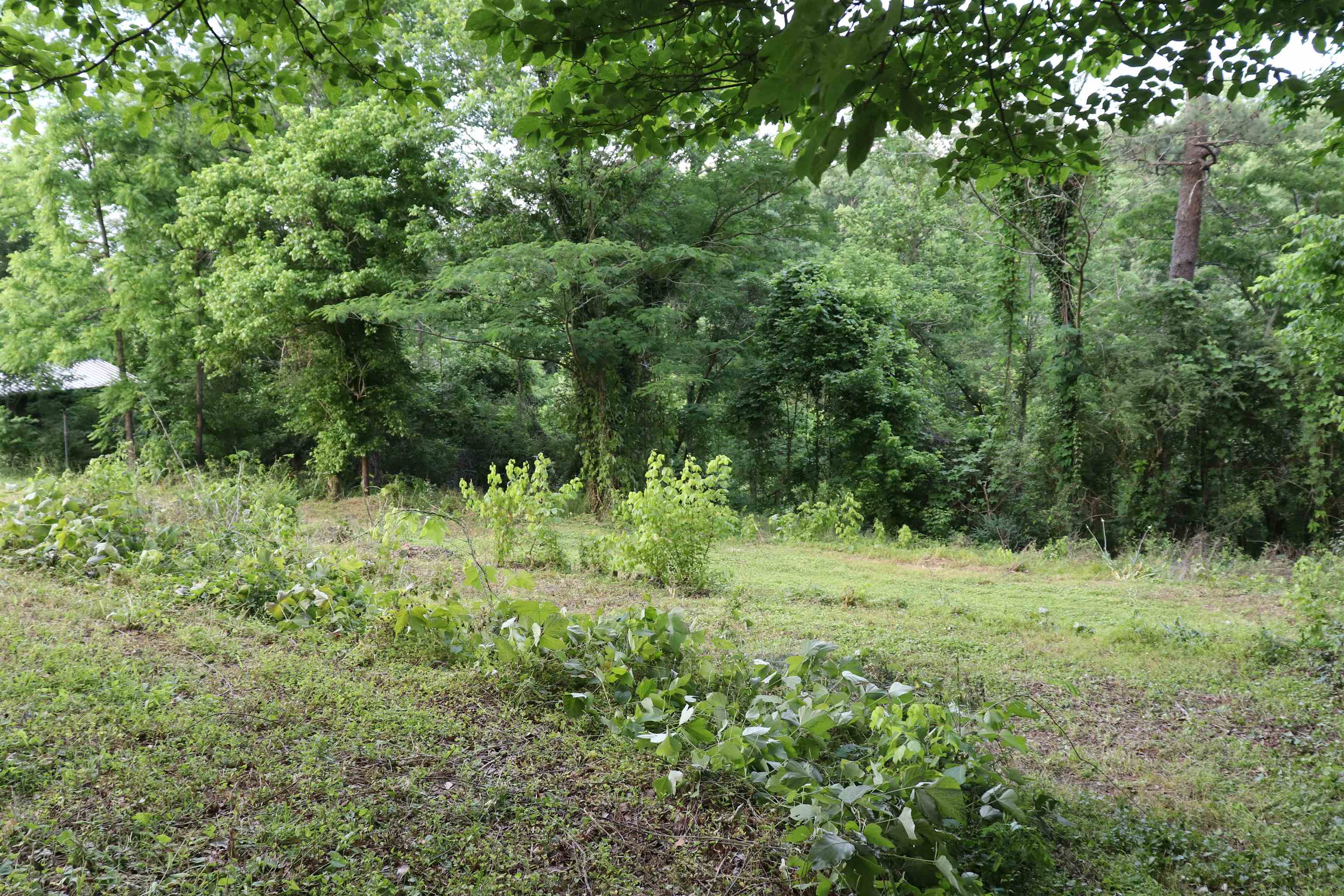 312 Cliff Rd
